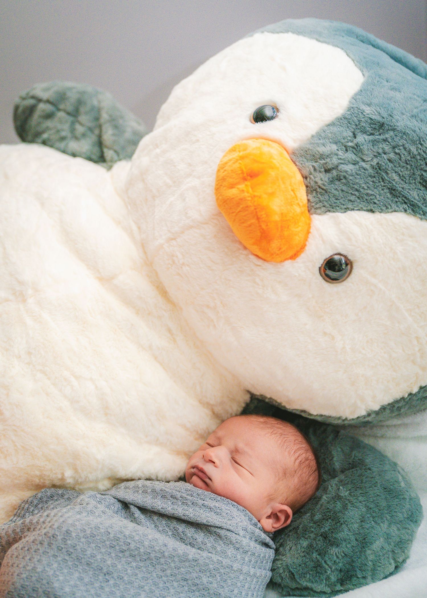 A sleeping newborn baby lies beneath a large plush penguin toy.