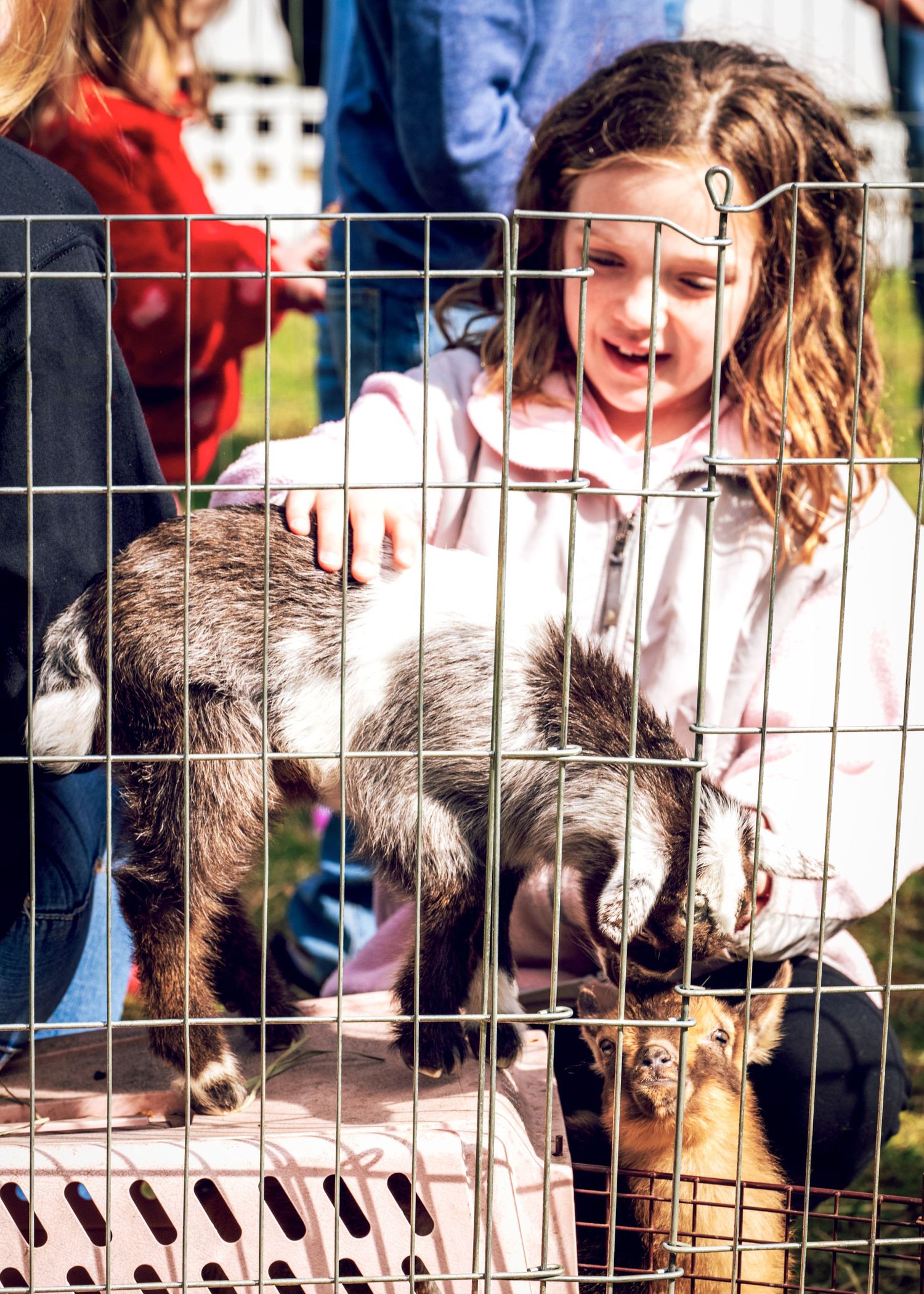 Girl petting baby goat
