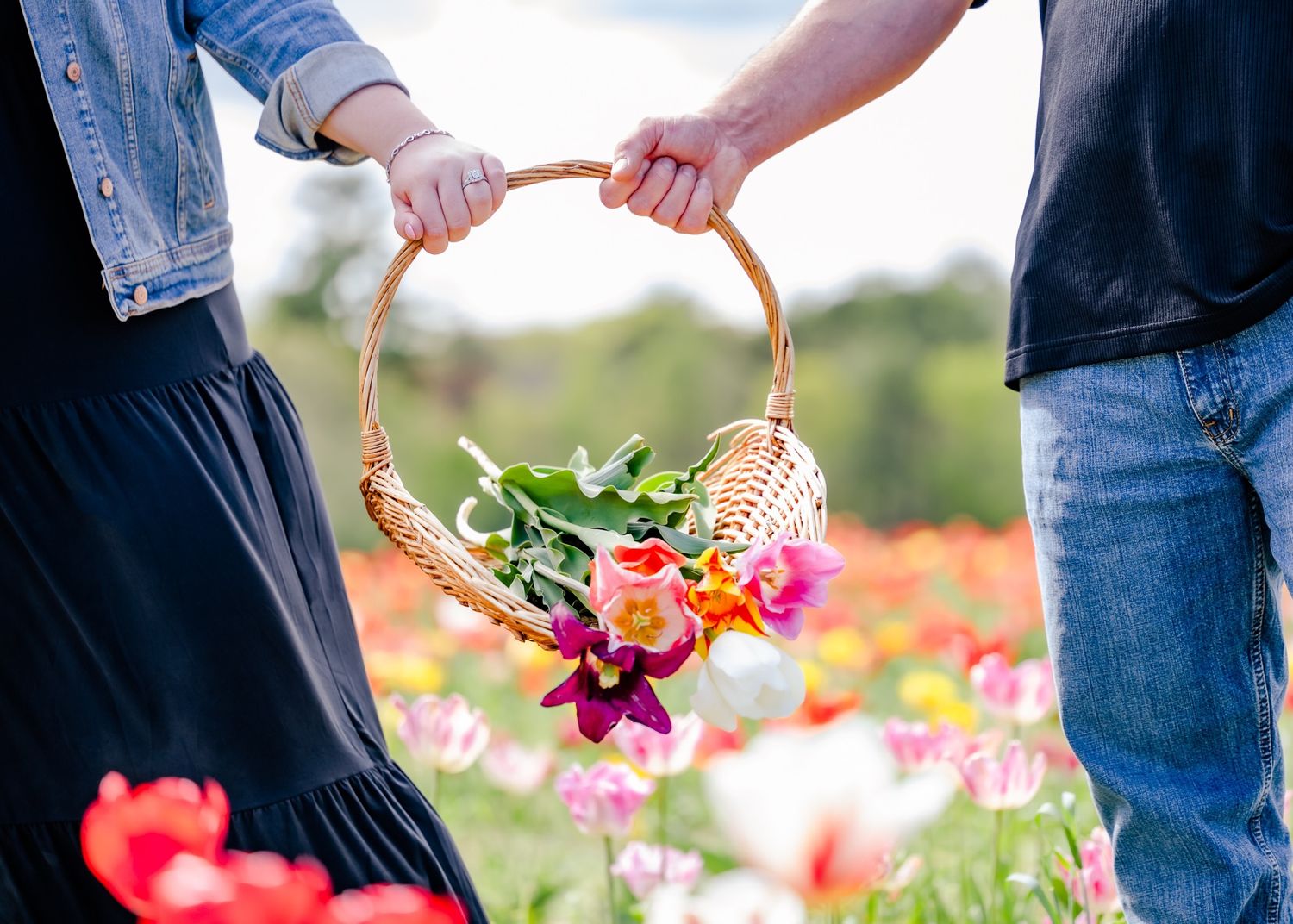 Two people holding decorative basket with flowers in blooming tulip field.
