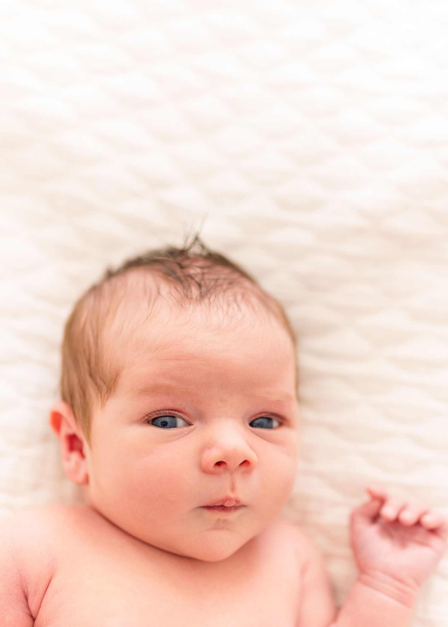 A precious newborn baby lying on soft white bedding with wide eyes and rosy cheeks.