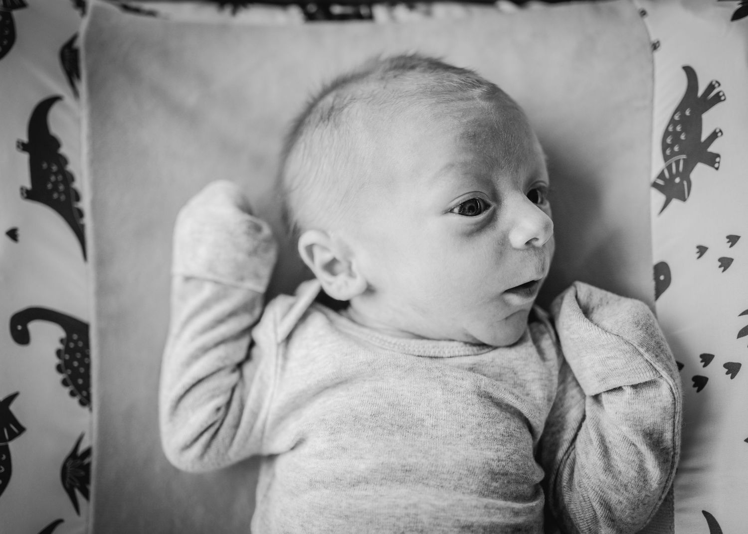Black and white portrait of infant laying on patterned fabric.