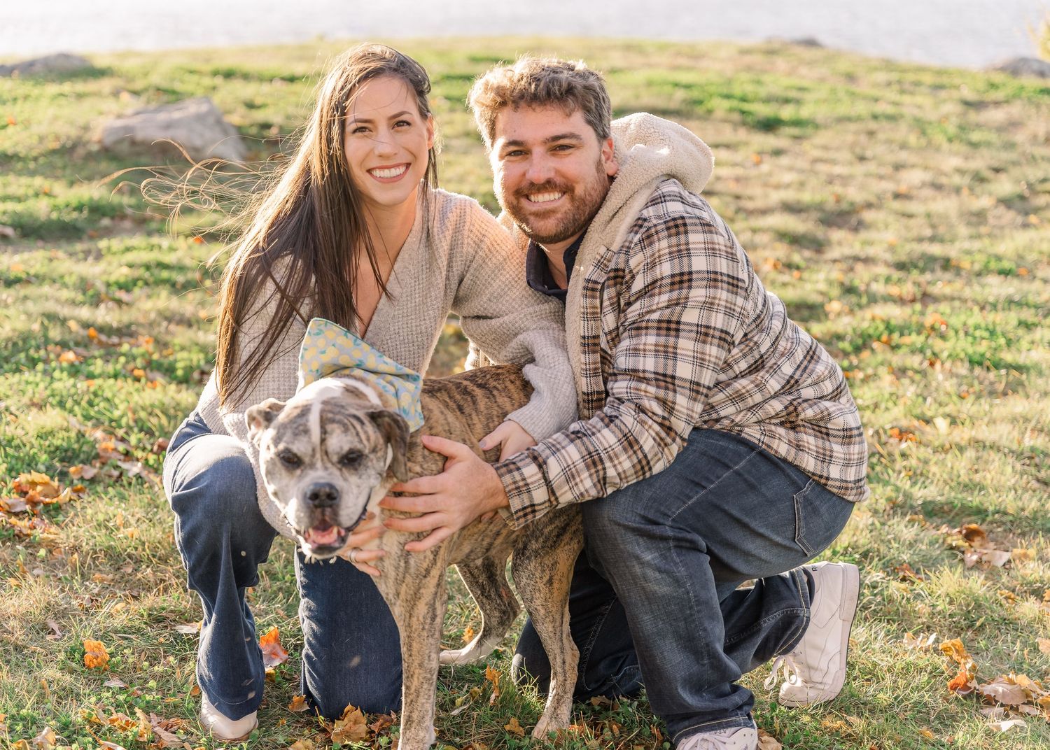 A couple kneels on grassy terrain while embracing their senior gray pit bull dog.