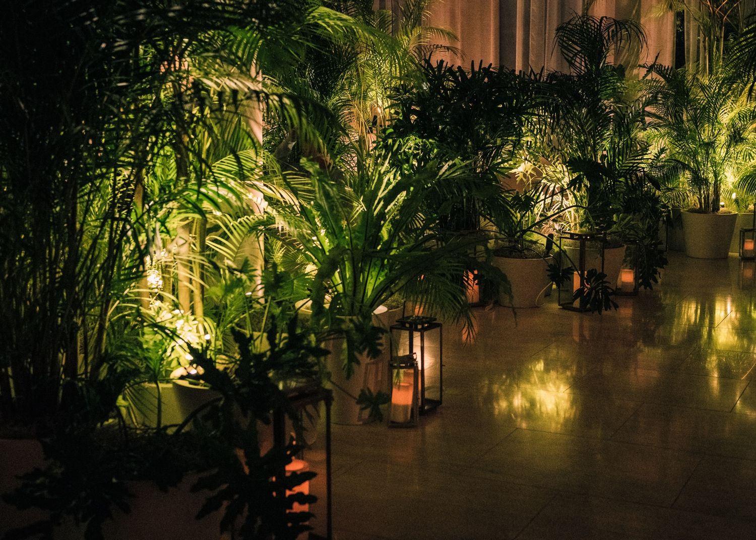Tropical plants and lanterns creating a moody evening atmosphere in an indoor space.