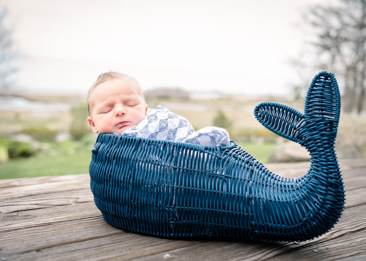 Sleeping baby nestled in decorative blue whale-shaped cushion outdoors.