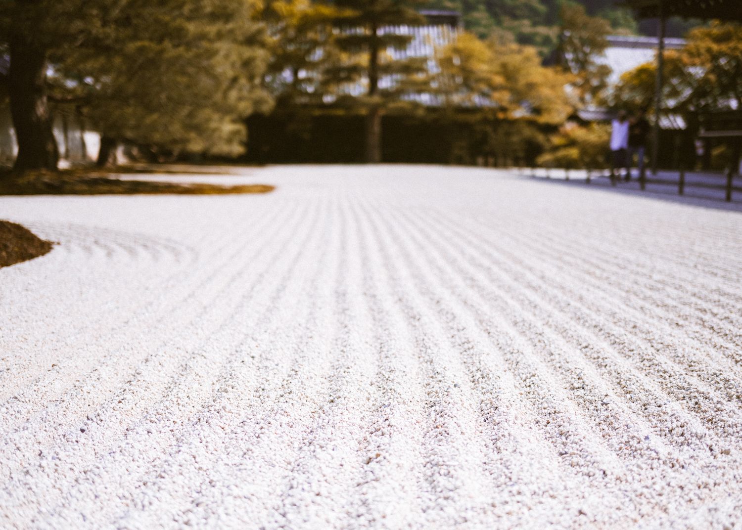 Perfectly raked white gravel in a Japanese zen garden with trees in soft focus.