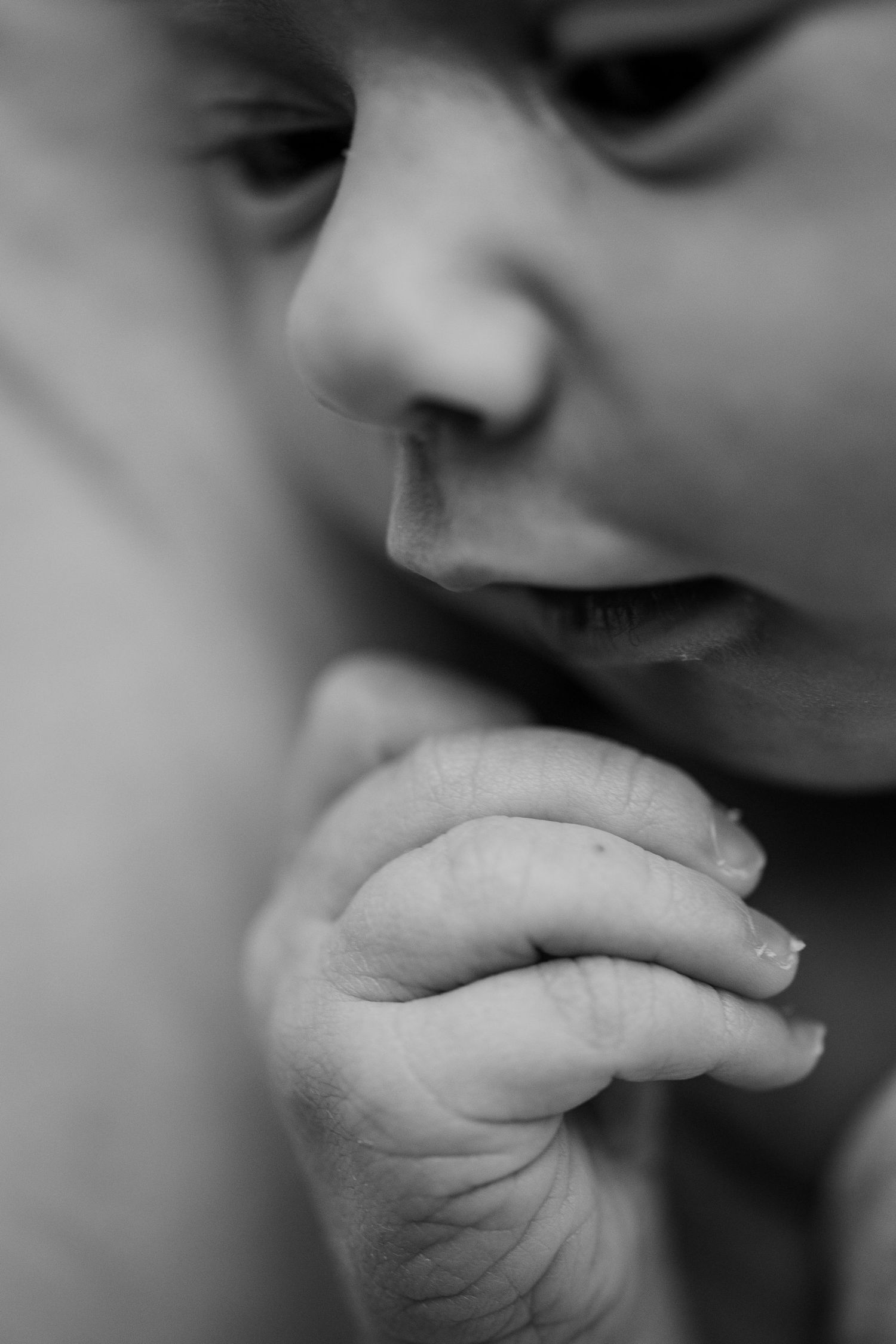 Close up black and white image of tiny baby hand being held.