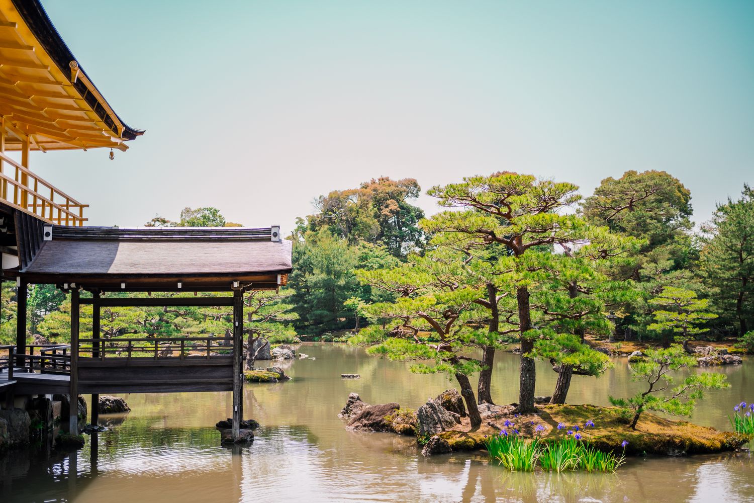 Traditional Japanese garden with wooden pavilion overlooking a tranquil pond surrounded by manicured trees.