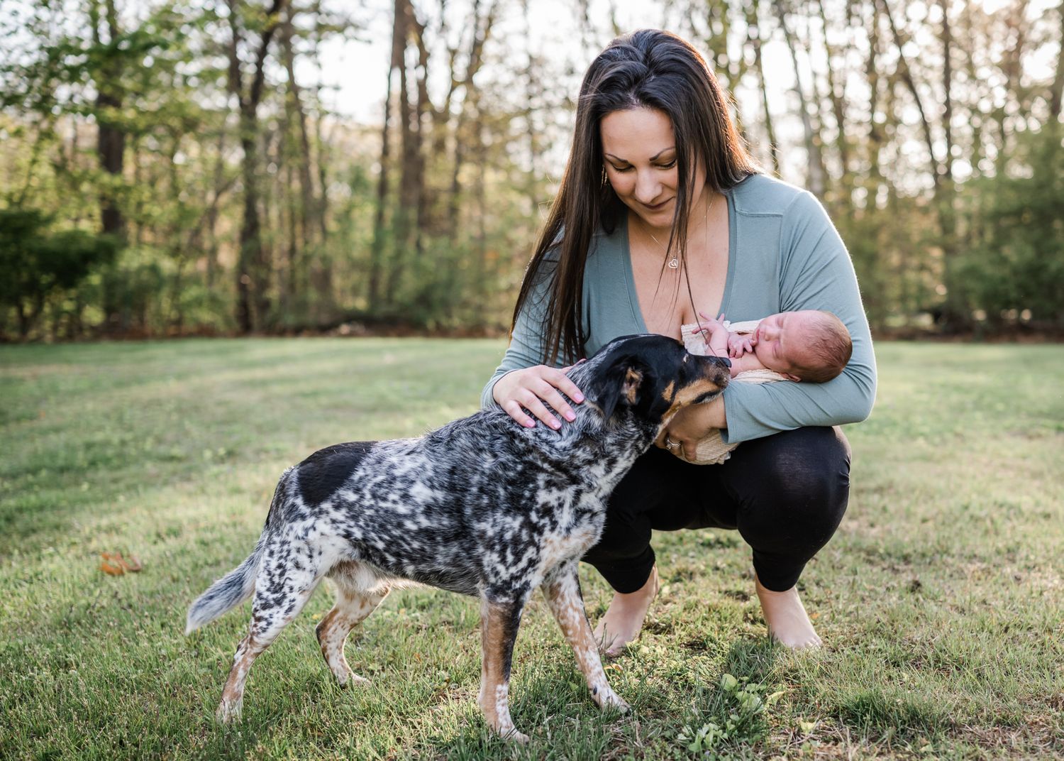 Spotted dog greets family and newborn baby during outdoor photo session in grassy field.