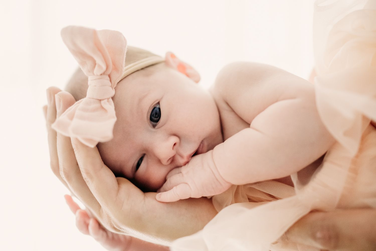 Close up of baby with pink bow resting gently in cupped hands.