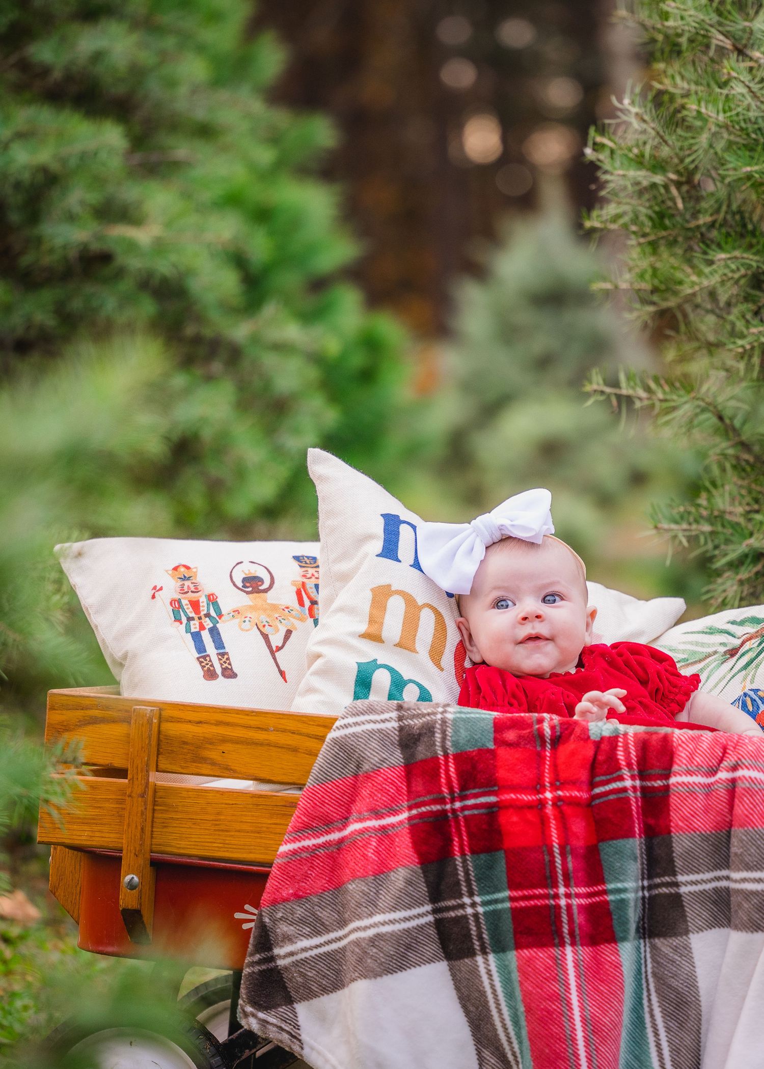 Baby in red dress lying on plaid blanket with decorative pillows among evergreen trees.