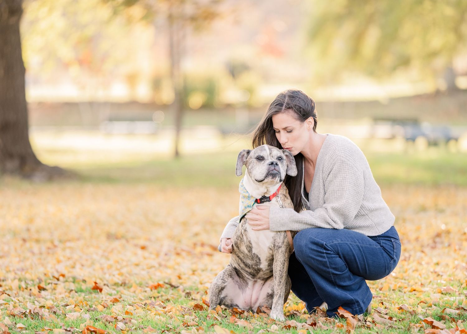 A grey whippet mix dog sits with someone on fallen autumn leaves in a park setting during golden hour.