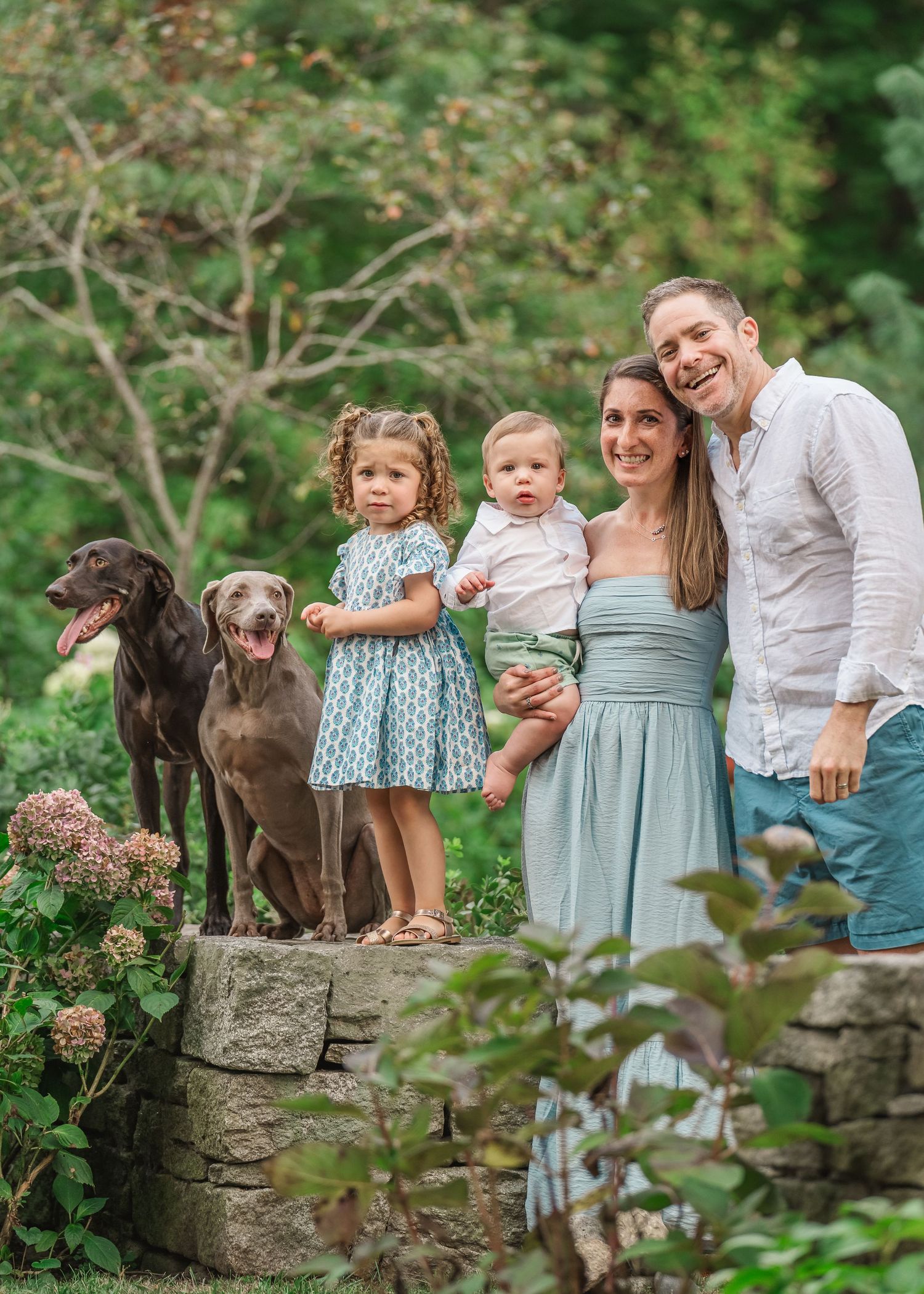 Family portrait with two chocolate Labrador dogs standing together on stone wall in a lush garden setting.
