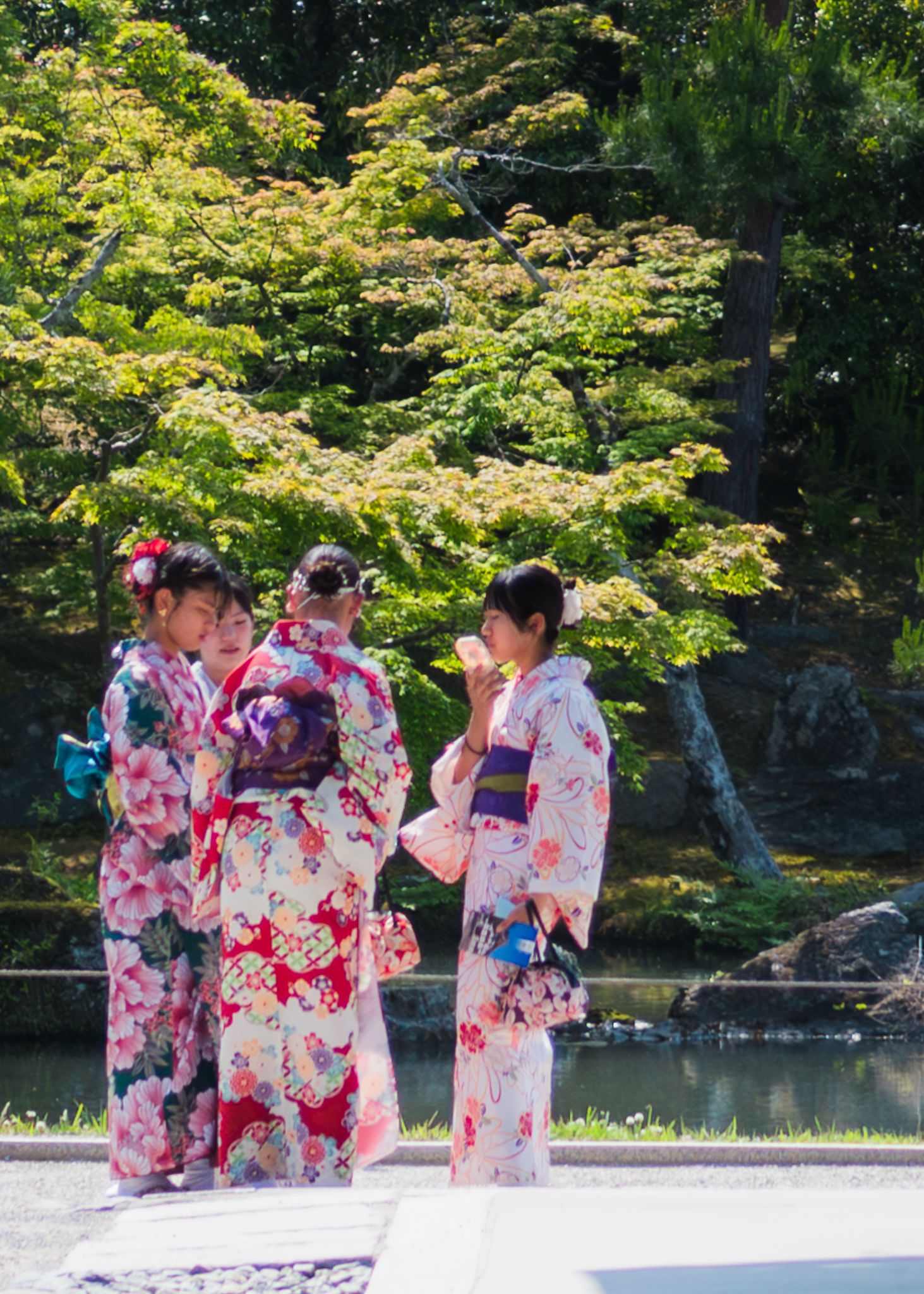 Colorful kimonos worn at a traditional Japanese garden with maple trees in the background.