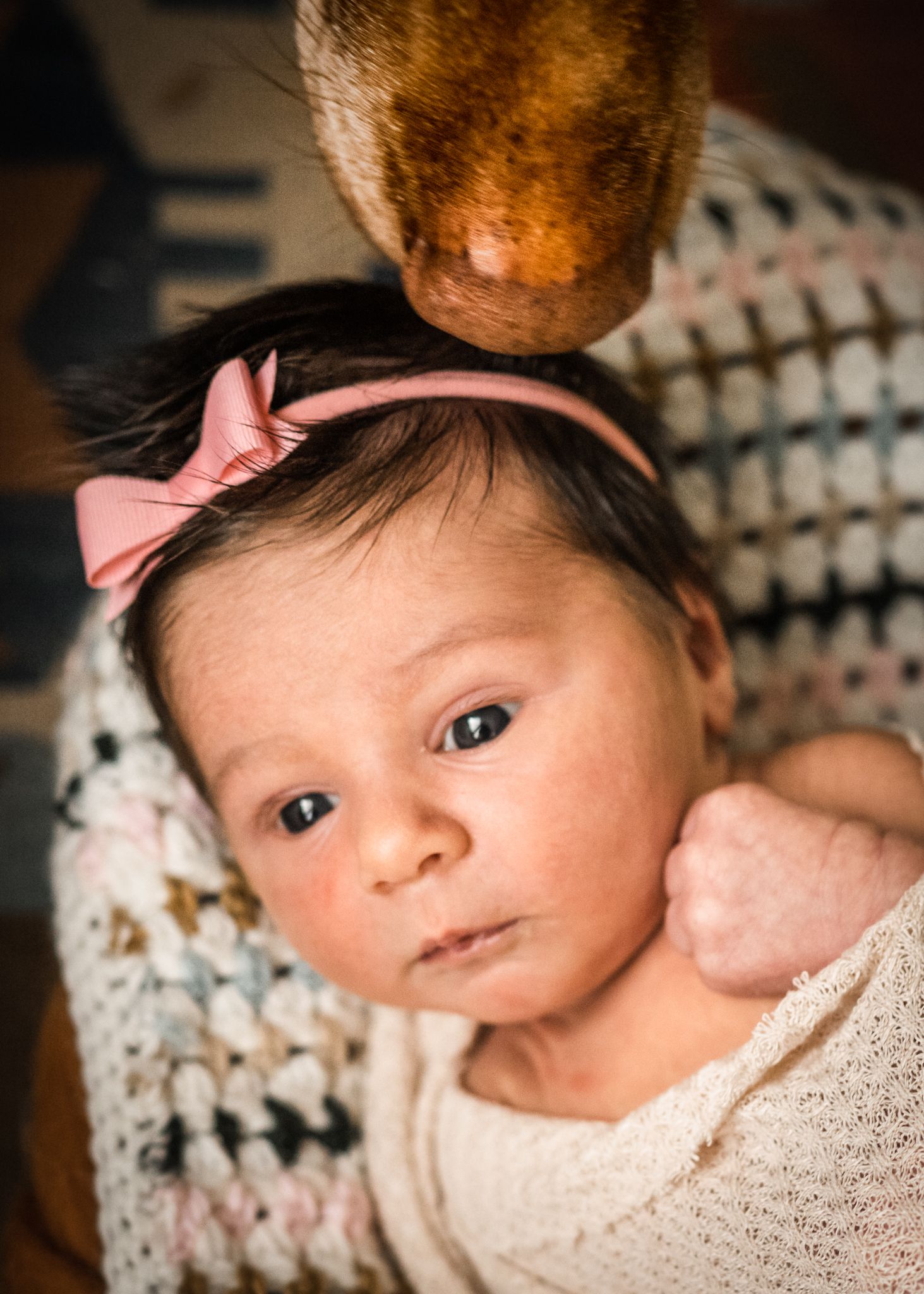 Baby wearing pink headband rests on a cozy knit blanket in warm lighting.