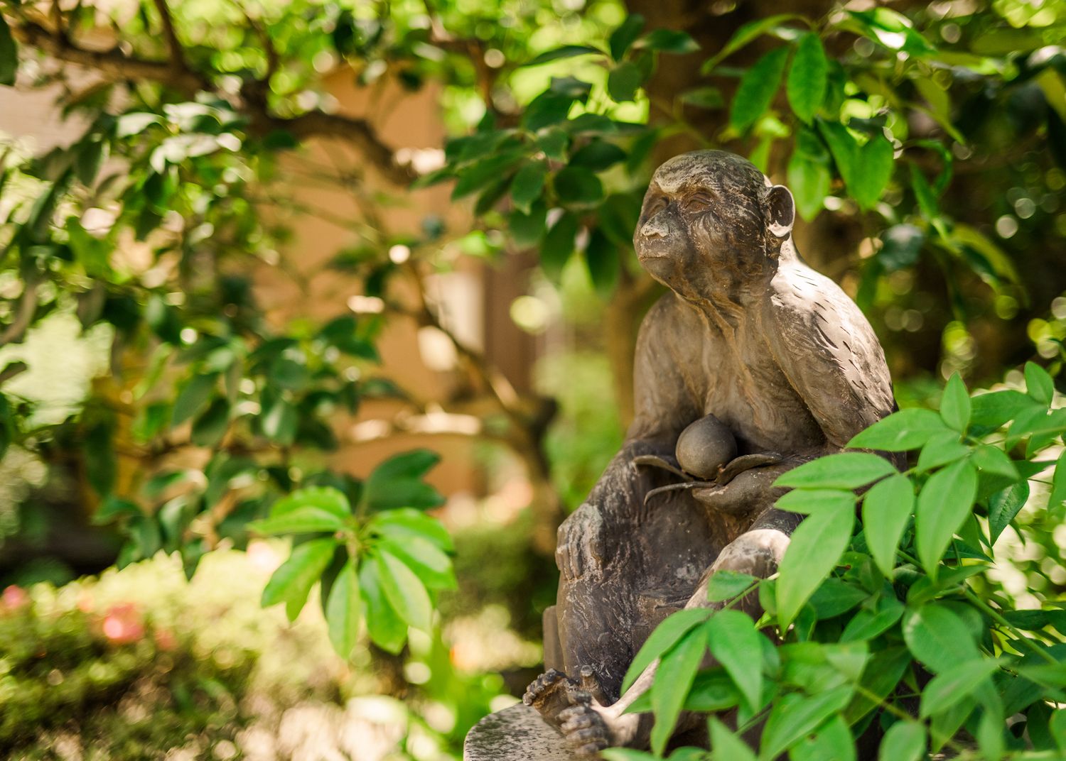 Bronze monkey statue sits among green leaves in a Japanese garden setting.