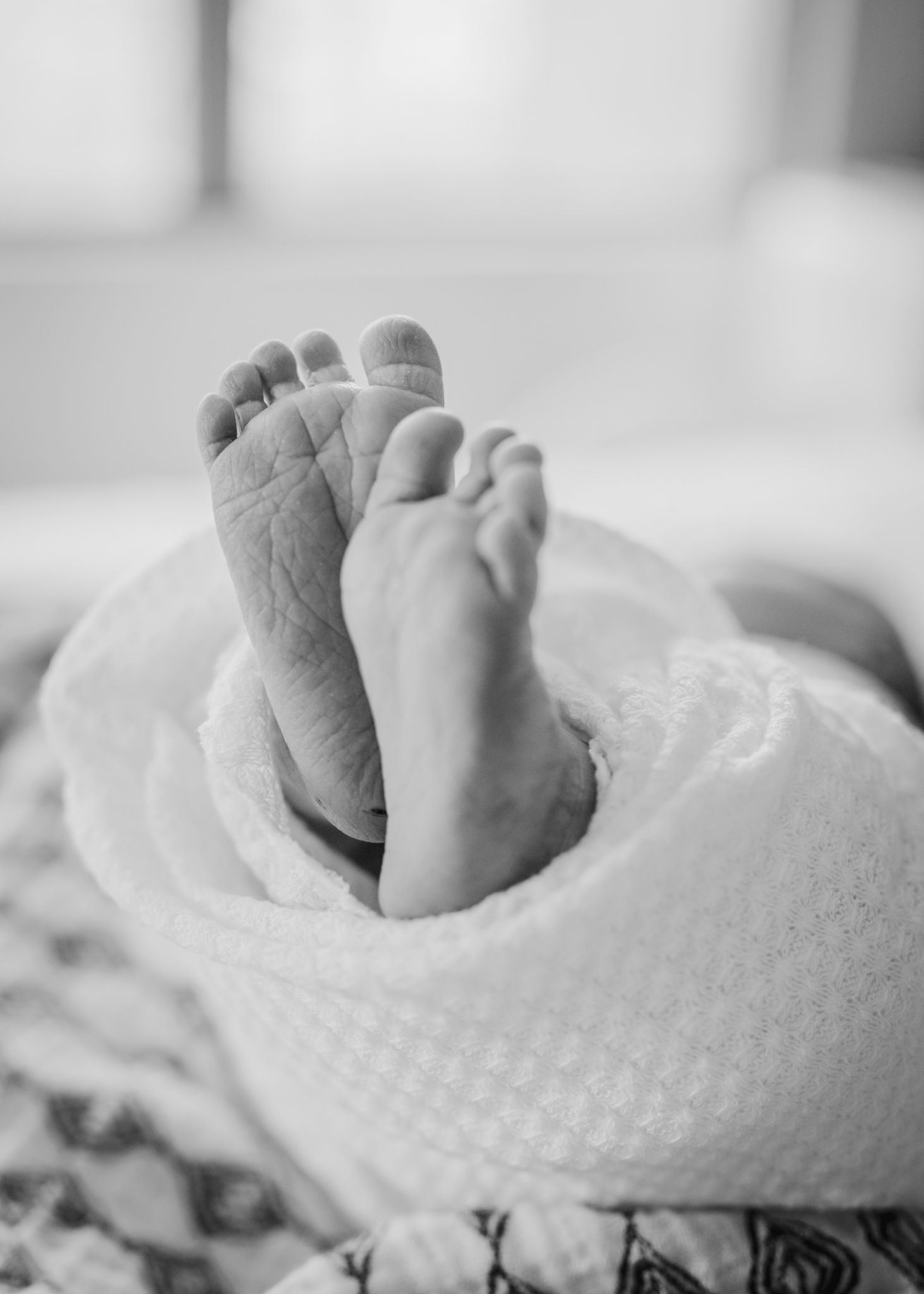 Close-up black and white photo of tiny newborn feet wrapped in textured blanket.