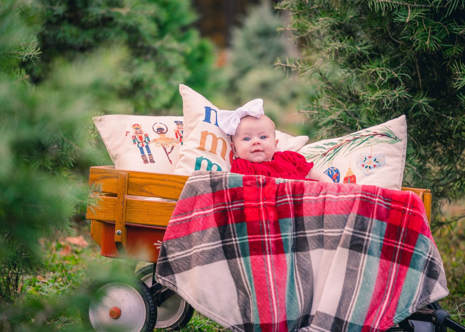 Baby resting in wooden wagon with plaid blanket and decorative pillows surrounded by greenery.