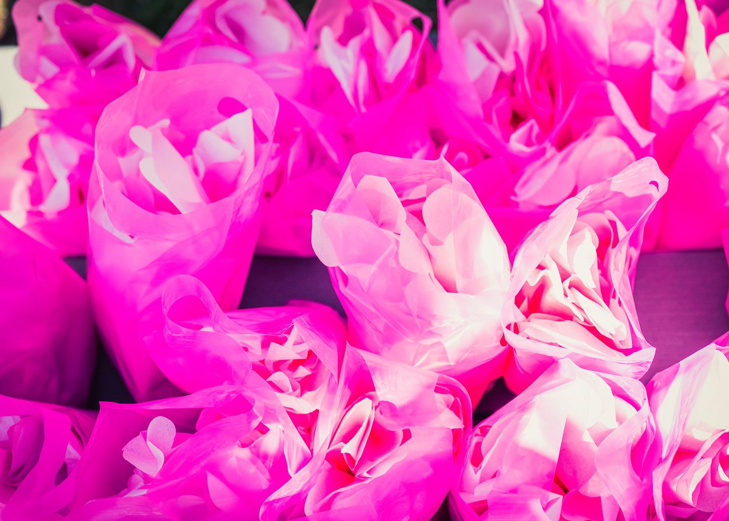 Bright pink tissue paper flowers bunched together in vivid magenta hues.