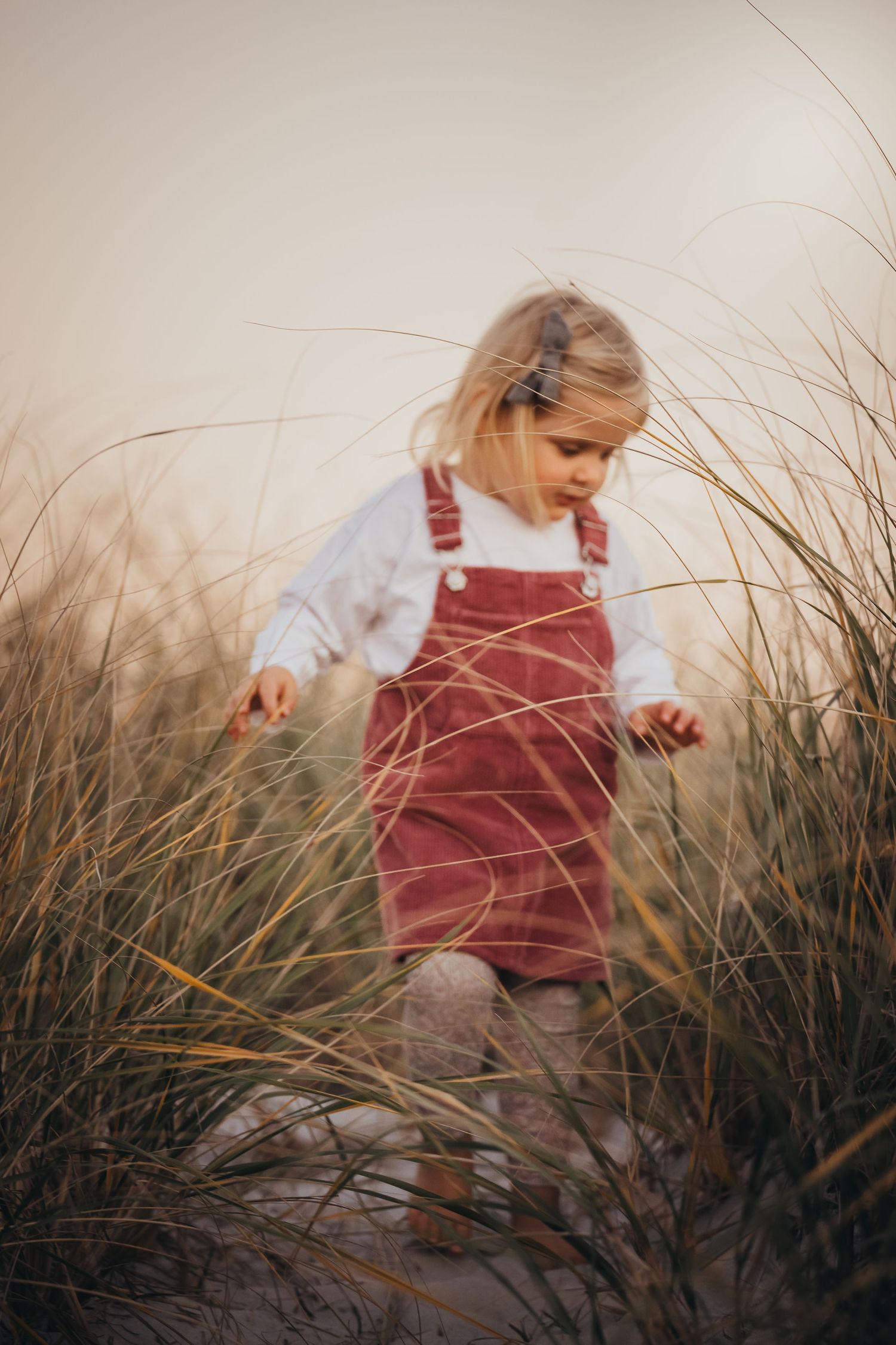 A sequence of photos showing a small figure in a burgundy dress moving through tall beach grass at golden hour.