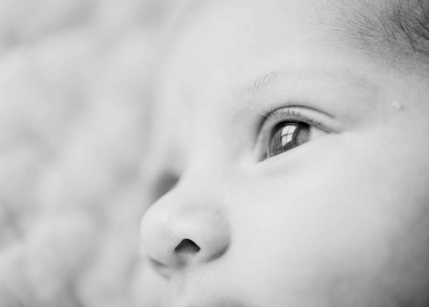 Extreme close up of baby's eye and nose in black and white.