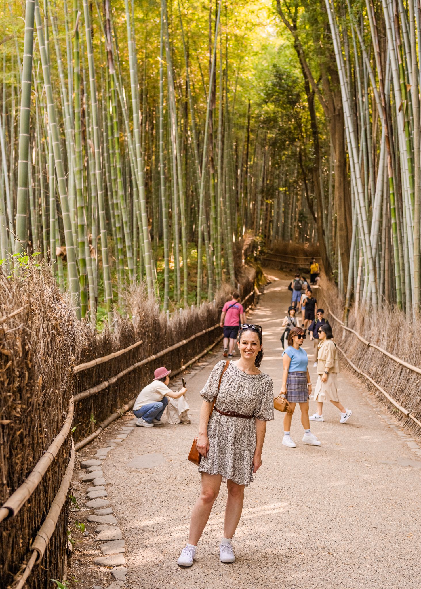 Scenic bamboo forest path with wooden railings in Arashiyama, Kyoto.