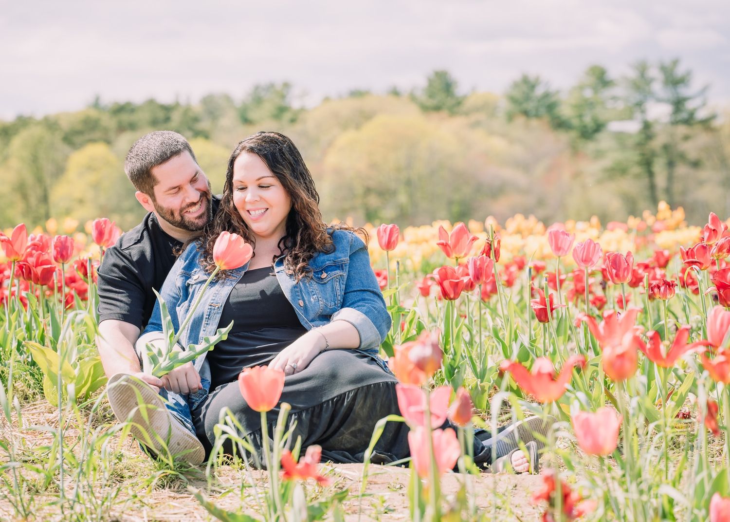 Couple sitting together in a vibrant field of red tulips during springtime.