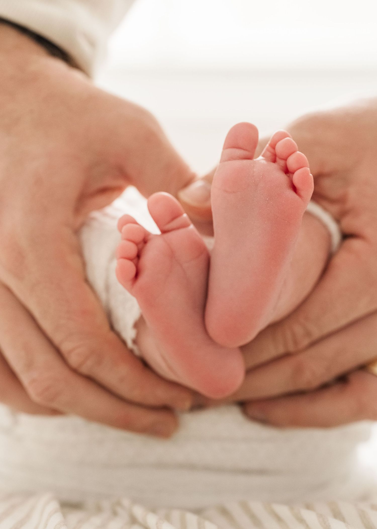 Close-up view of tiny newborn baby feet being gently held in adult hands against a white background.