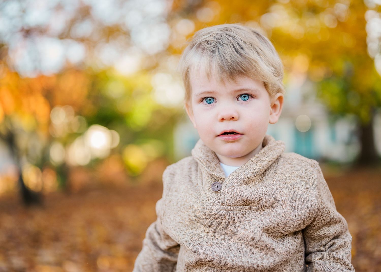 A young child in a beige sweater stands among fallen autumn leaves in a park.