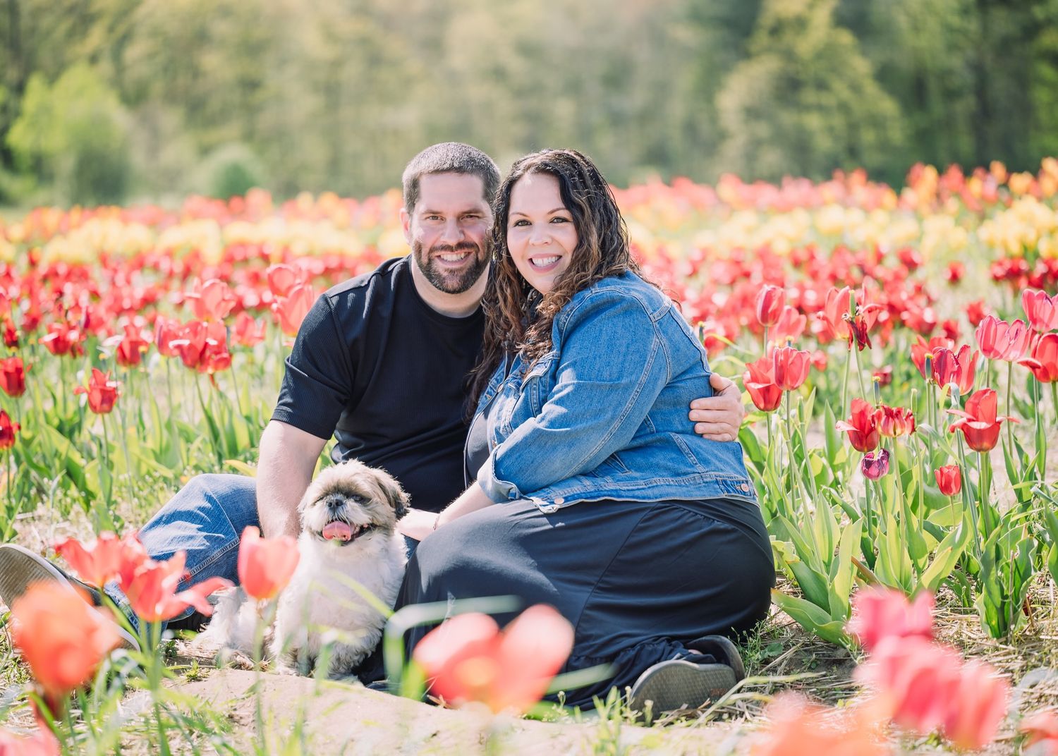 Happy couple with their dog enjoying a spring day among red tulips.