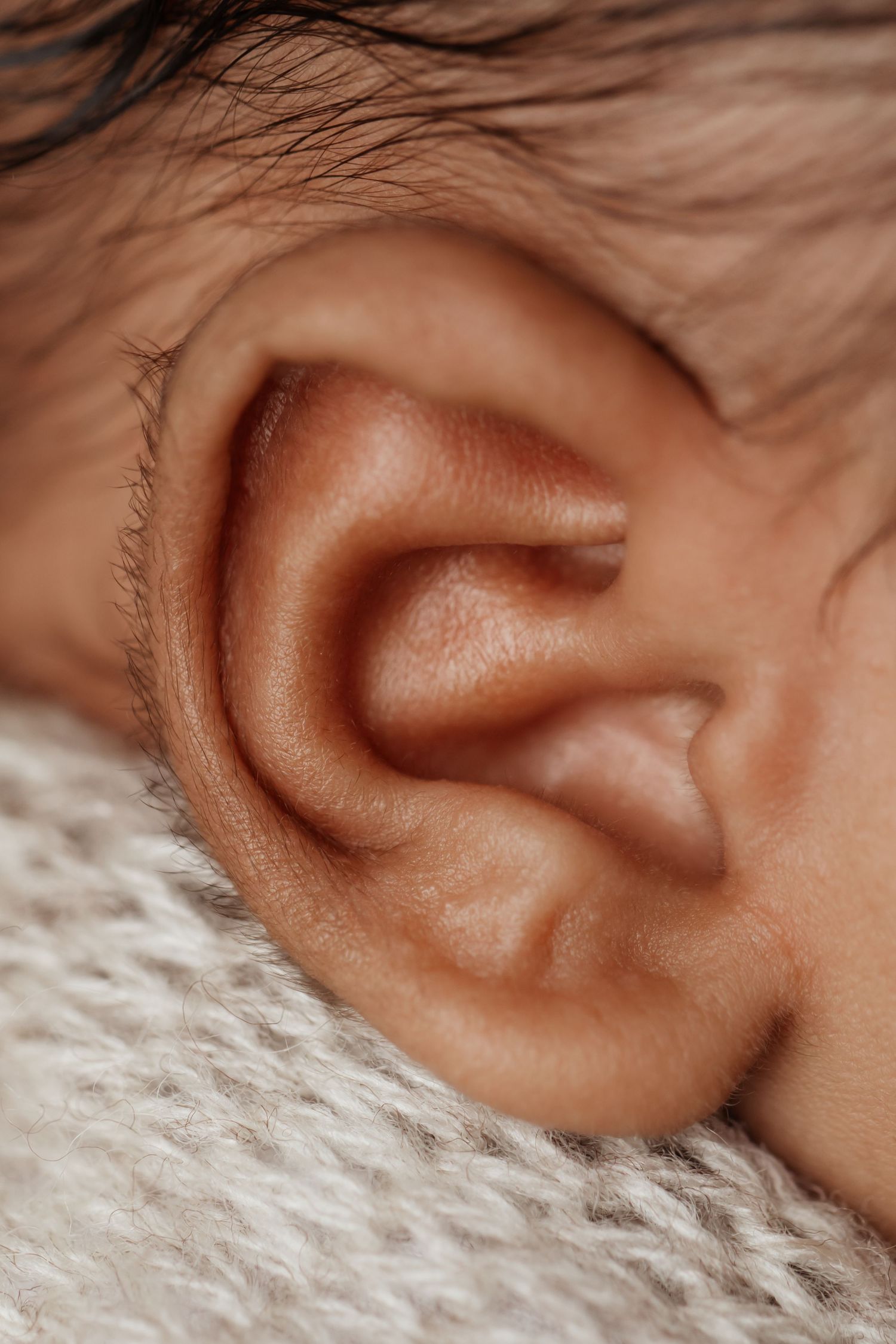 Extreme close-up macro photograph of a newborn babys perfectly formed ear and soft dark hair.