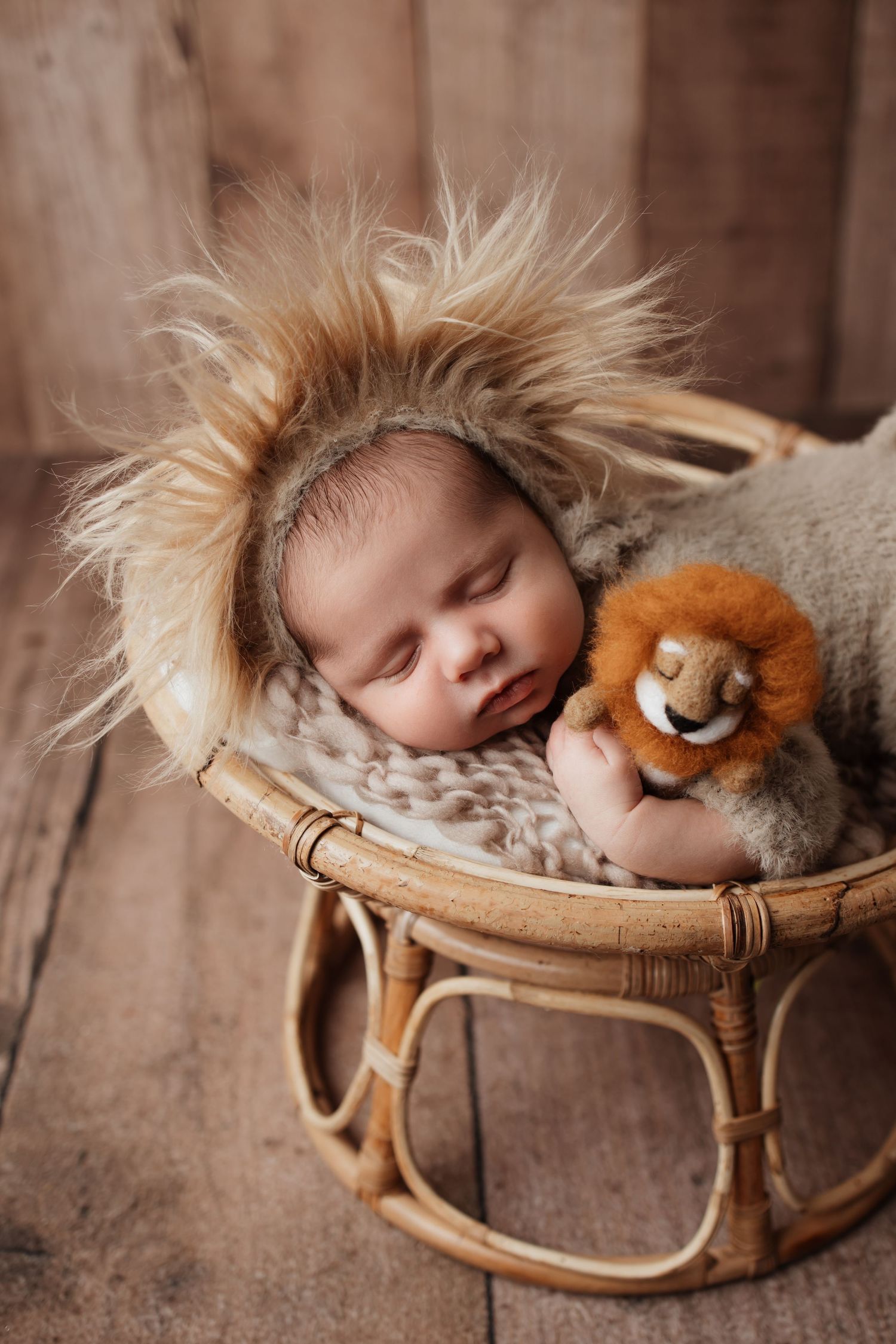 Sleeping newborn baby wearing a lion mane hat holding a lion stuffed animal in a wicker basket.