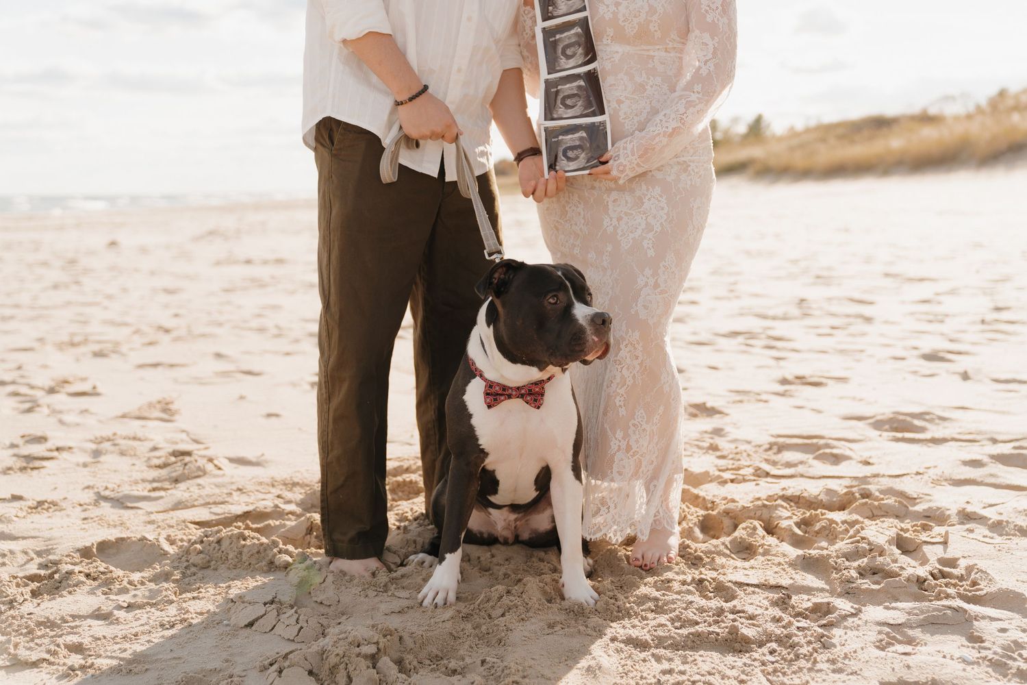Couple holding ultrasound photos with Boston Terrier dog on sandy beach during pregnancy announcement photo shoot.