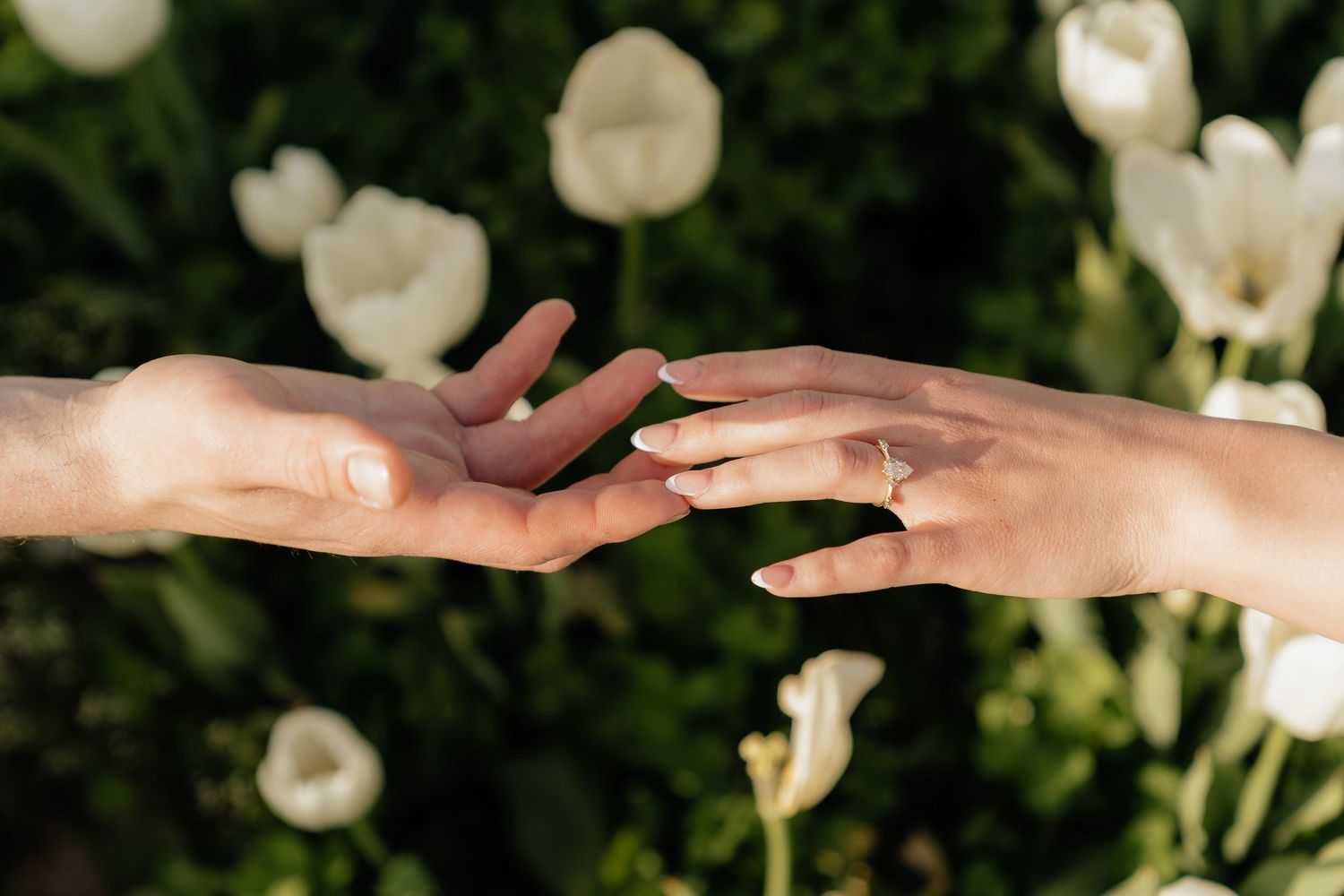 Two hands gently touching fingertips with white tulips in the background, one hand wearing a diamond engagement ring.