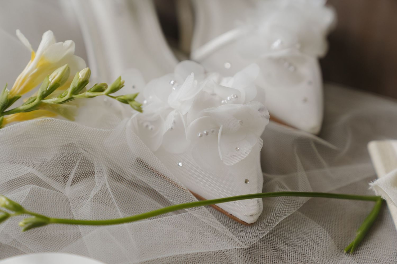 A close-up view of a delicate white flower with water droplets on its petals.