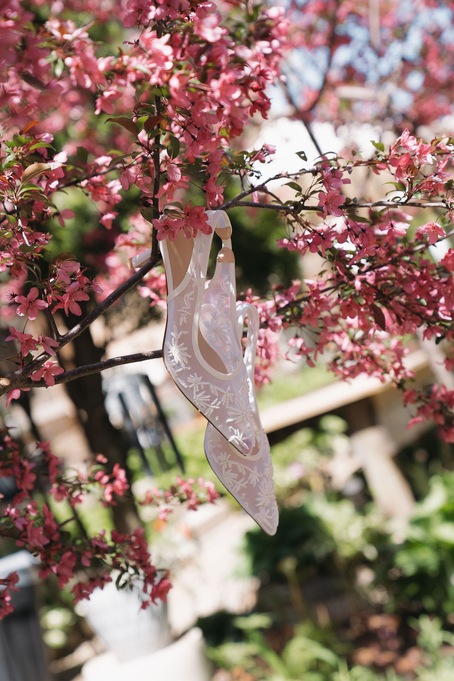 White lace bridal heels hanging from a blooming pink cherry blossom tree branch outdoors.