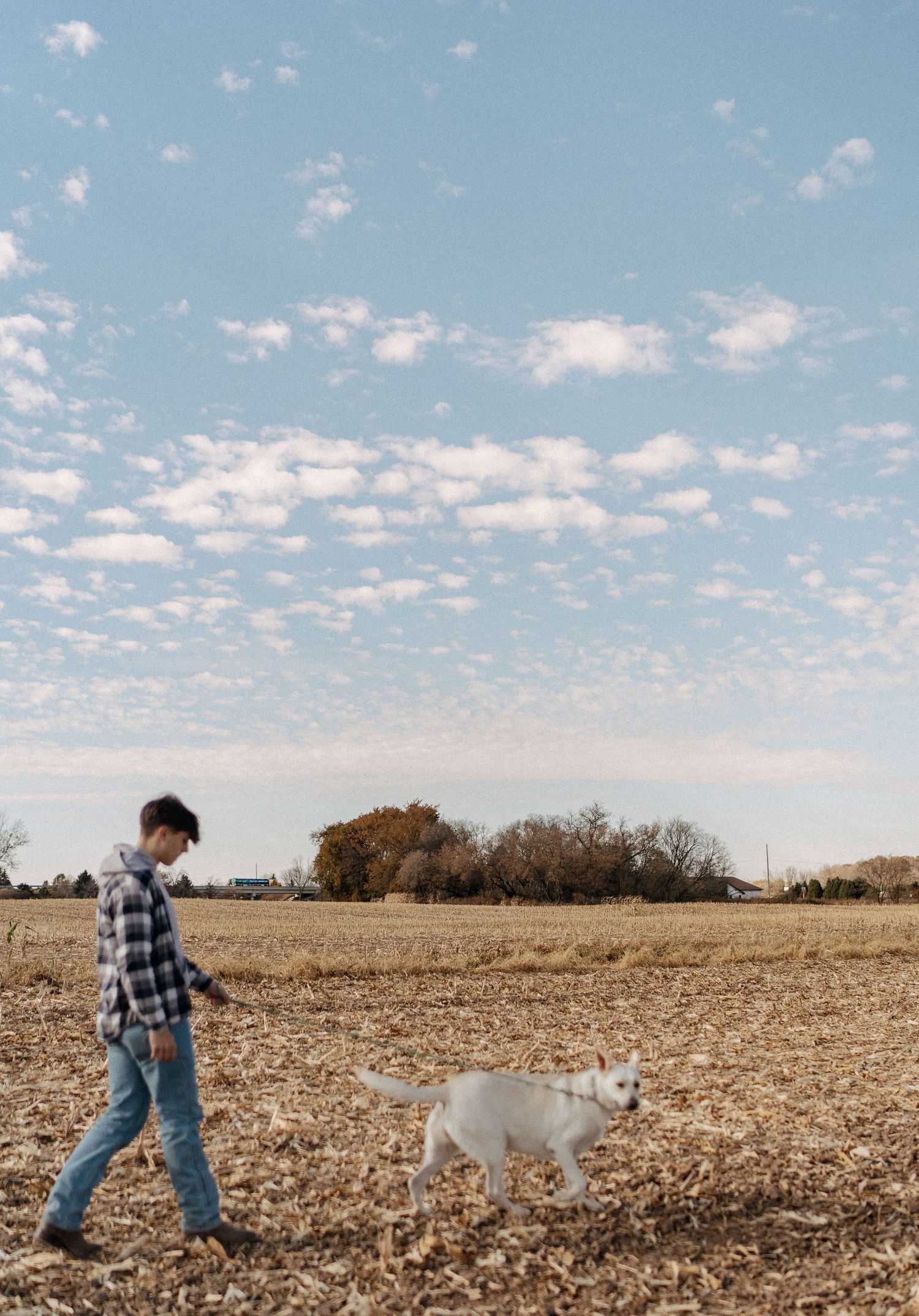 A person walking a white dog in a rural field with a cloudy sky in the background.