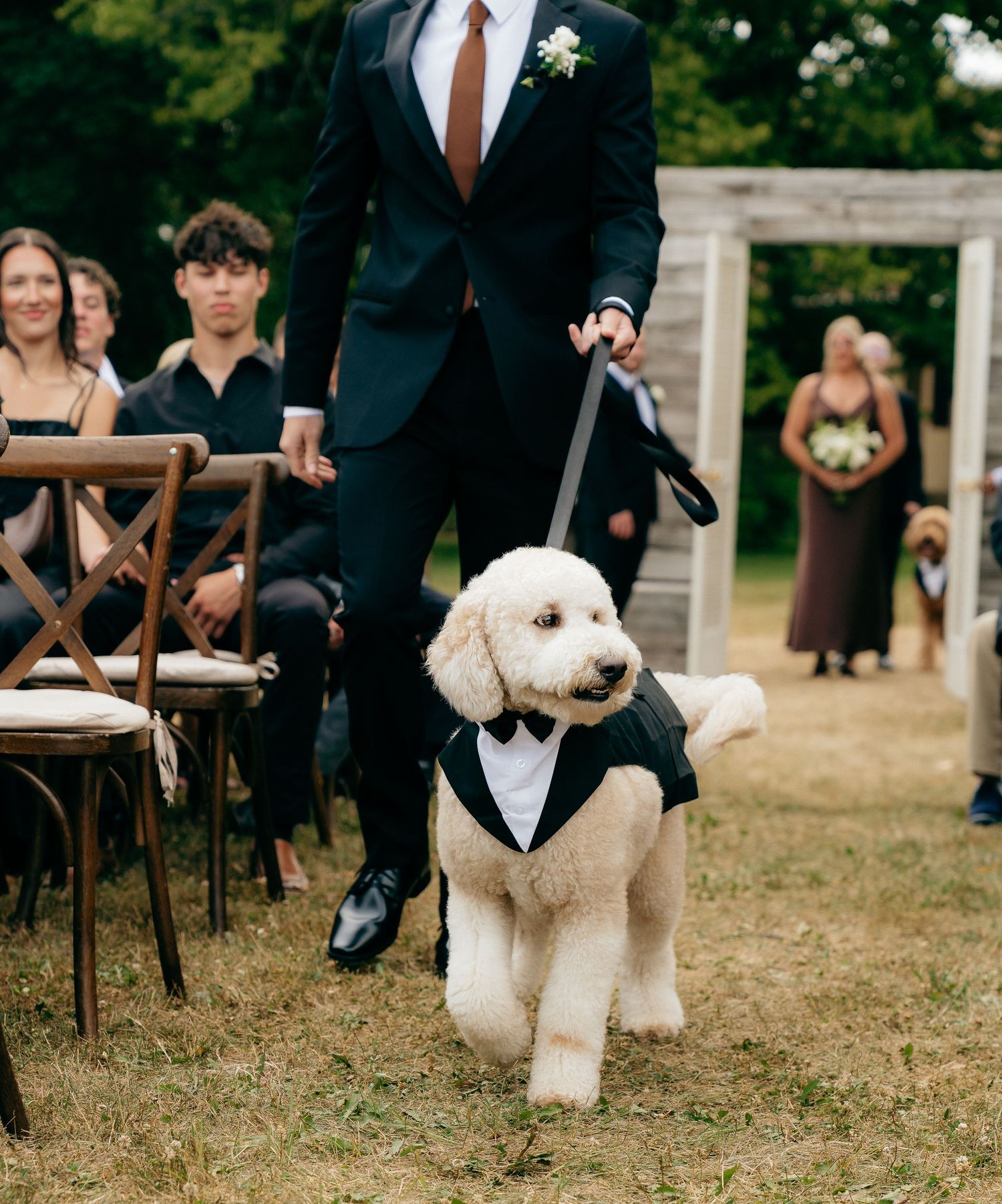 A fluffy goldendoodle in a tuxedo outfit walks down a wedding aisle with a groom in a navy suit.
