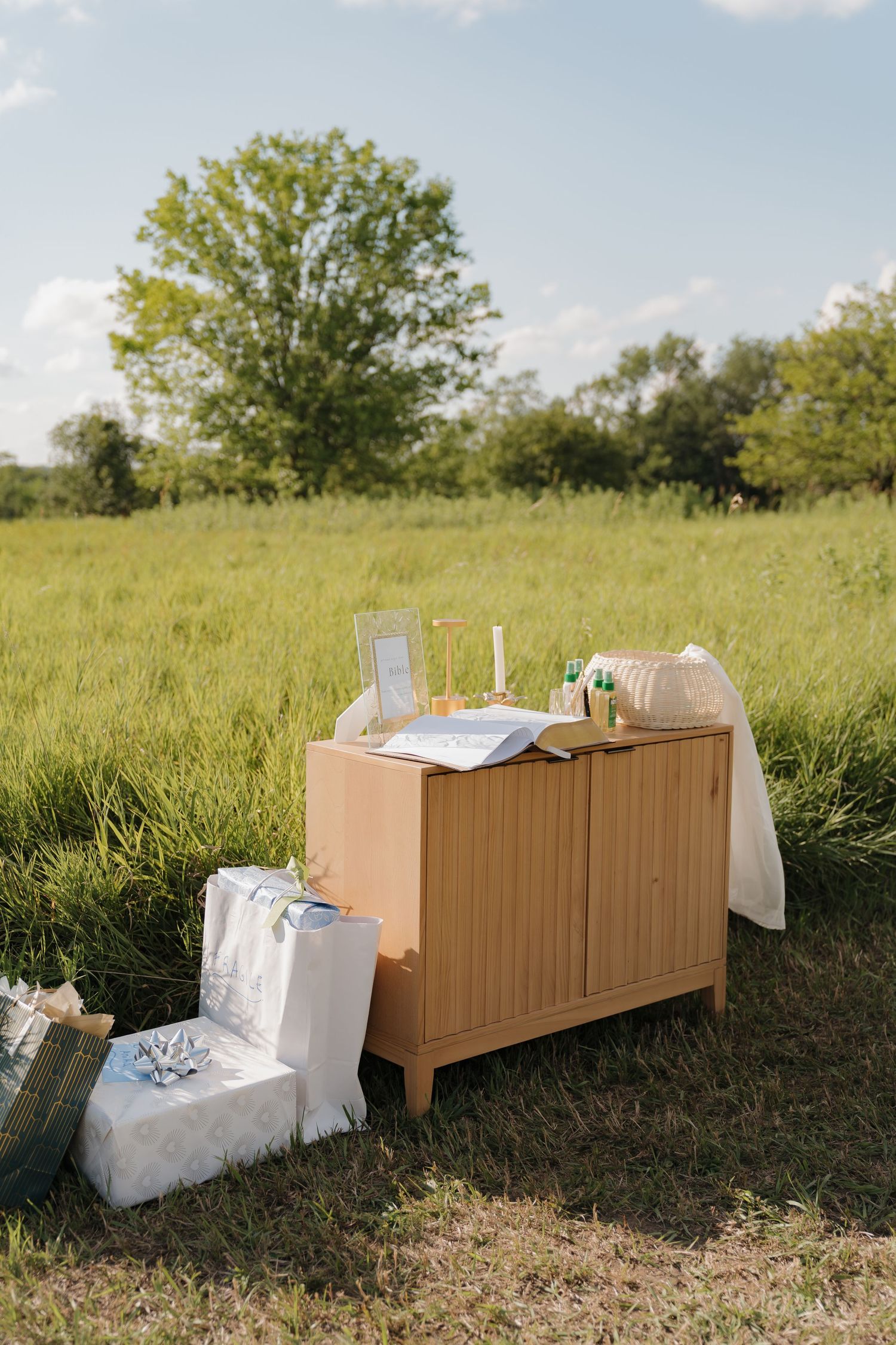 A wooden cabinet with various items sits in a grassy field, with a large tree and blue sky in the background.