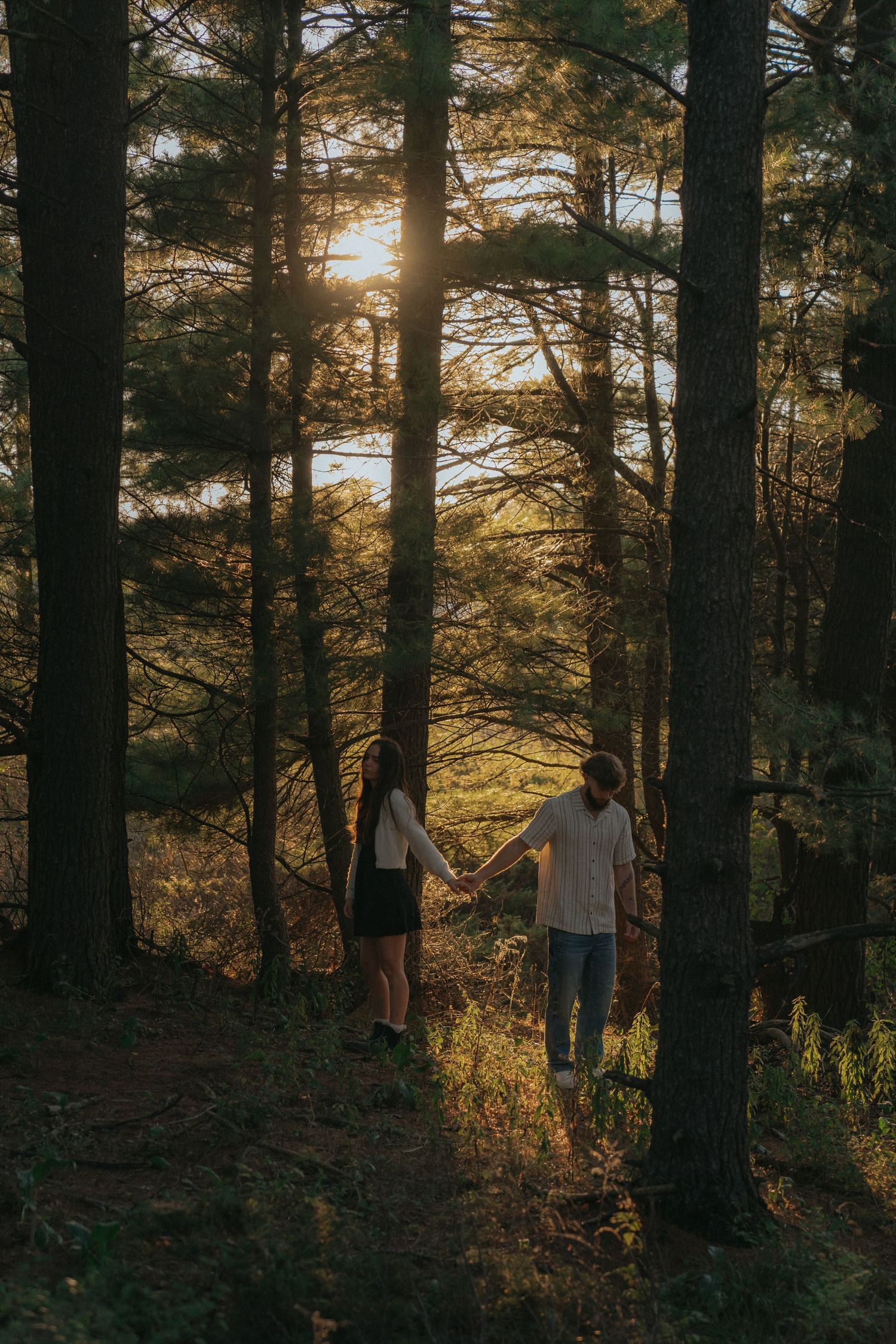Two people walking on a path through a pine forest at sunset, with warm light filtering through the trees.