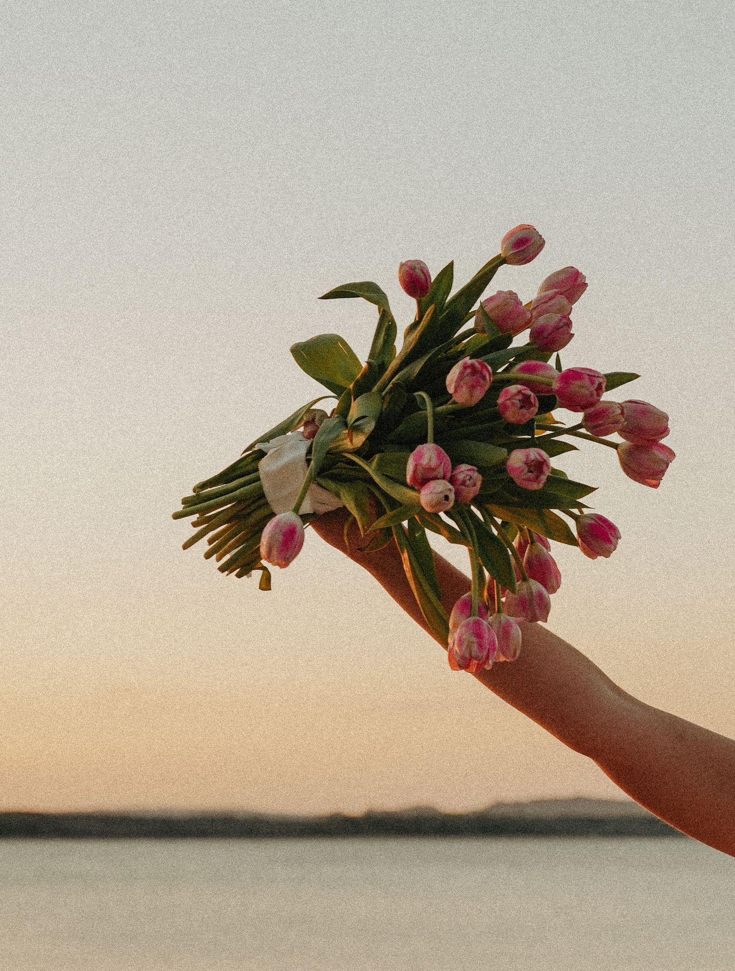A hand holds a bouquet of pink tulips against a serene sunset sky over calm water.