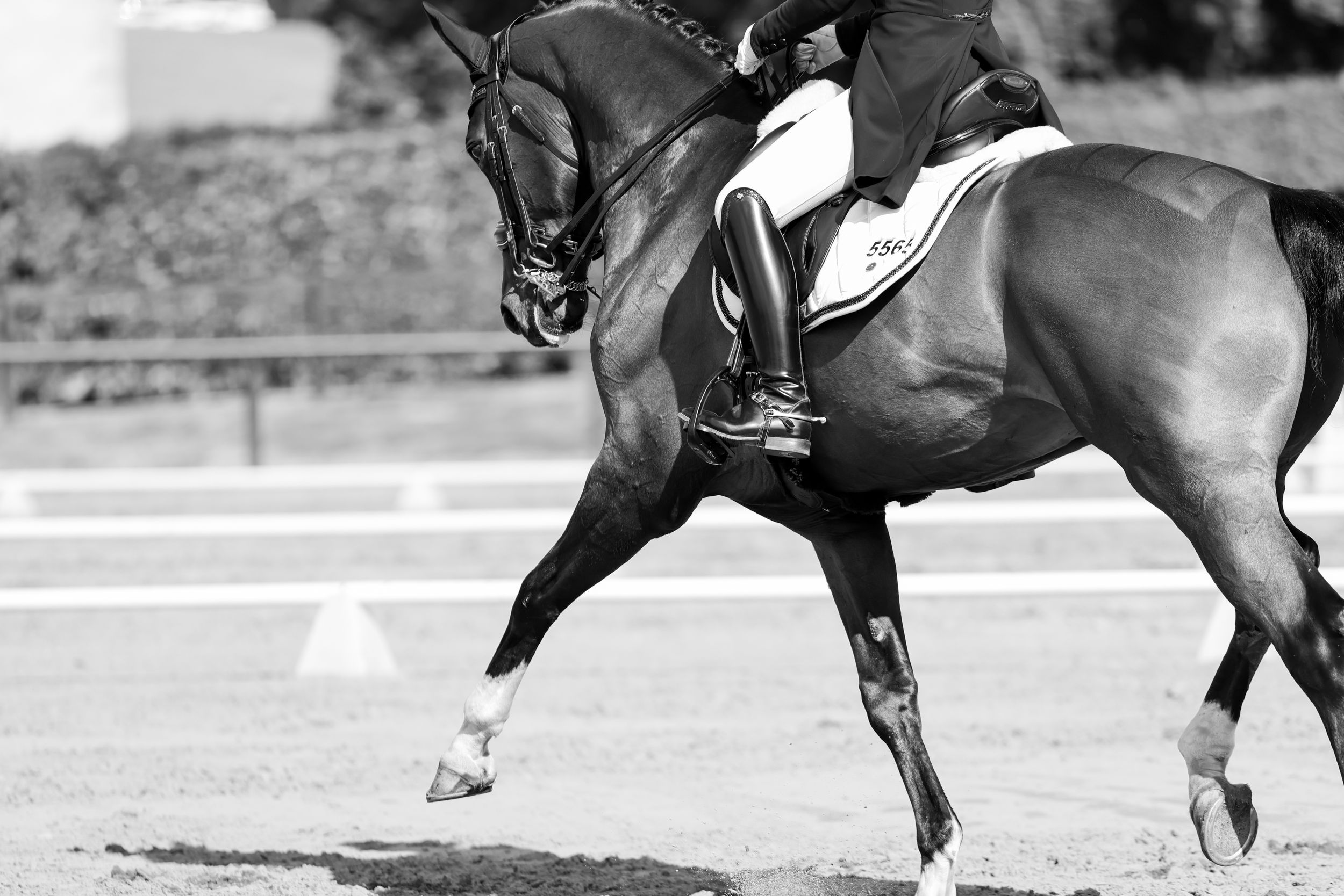 Christmas Day Event Adelaide