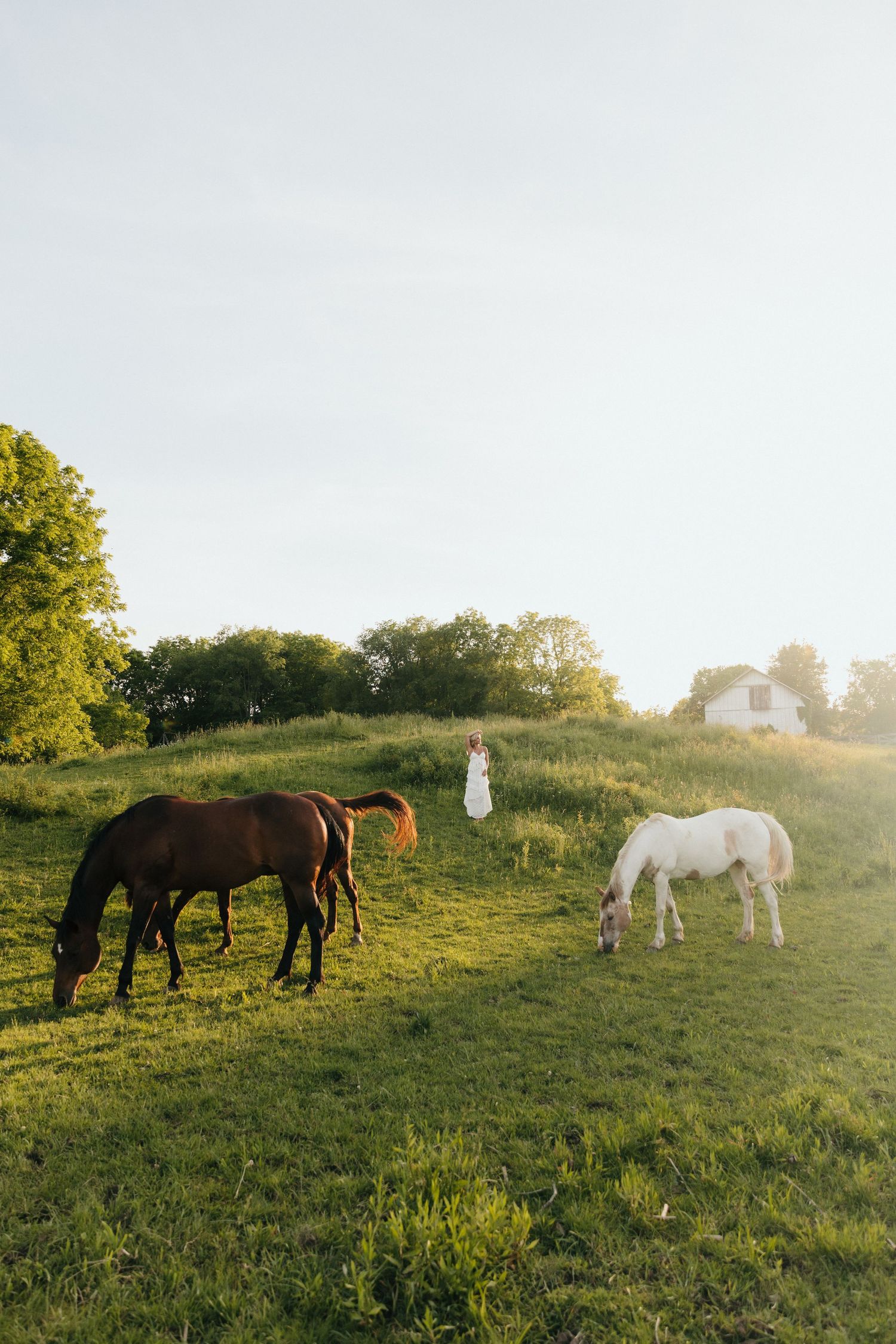 Woman in white dress stands on green hill with two brown horses and one white horse grazing in golden sunlight.