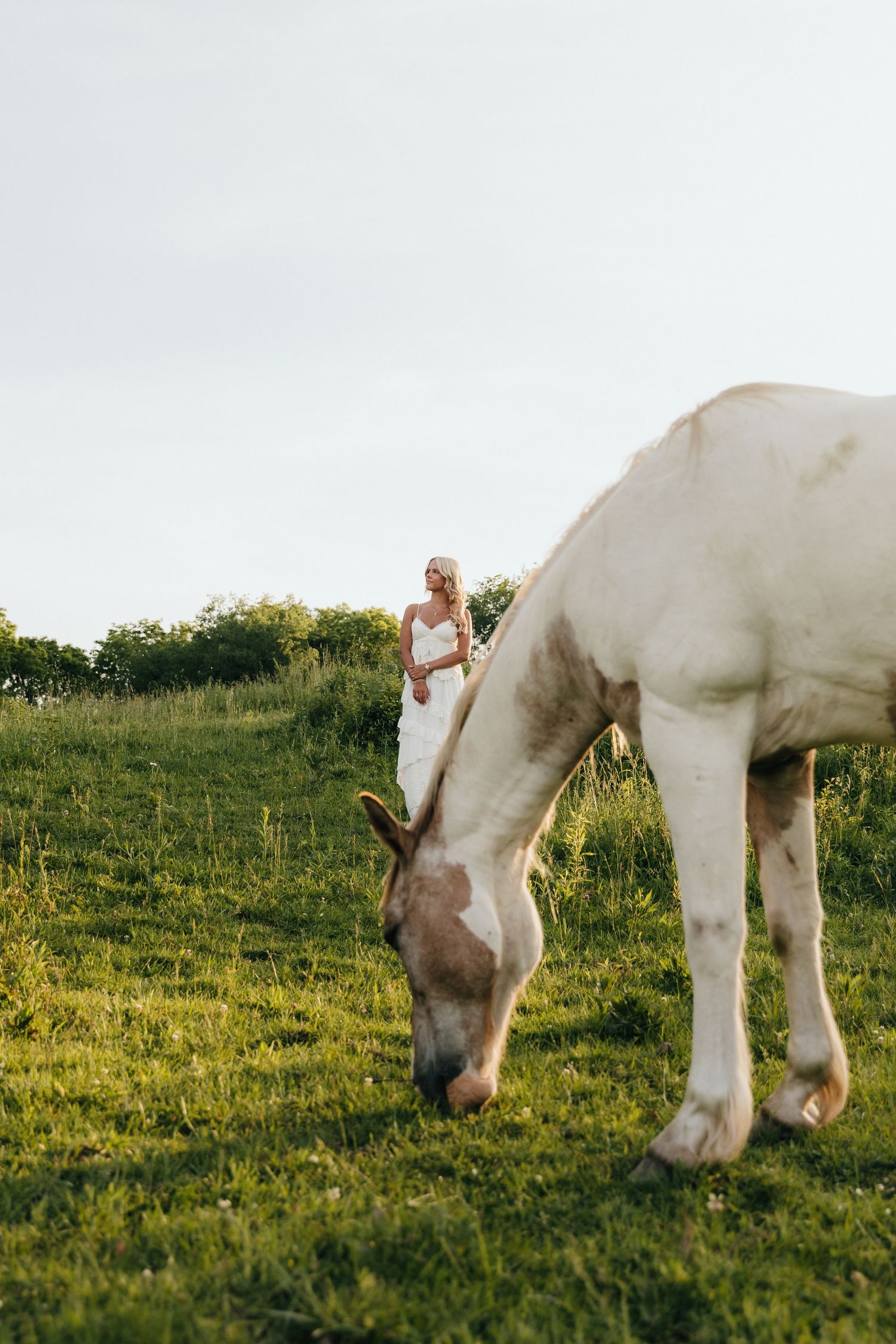 A white and brown horse grazes in a green field while a blonde bride in a white dress stands in the background.