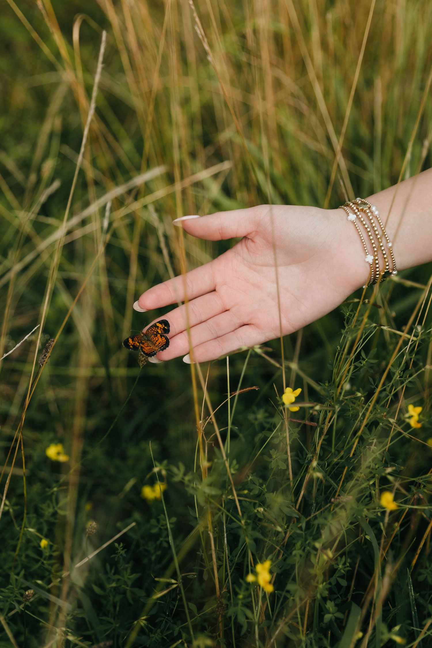 A butterfly rests on a woman's hand adorned with gold bracelets, surrounded by tall green grass and yellow wildflowers.