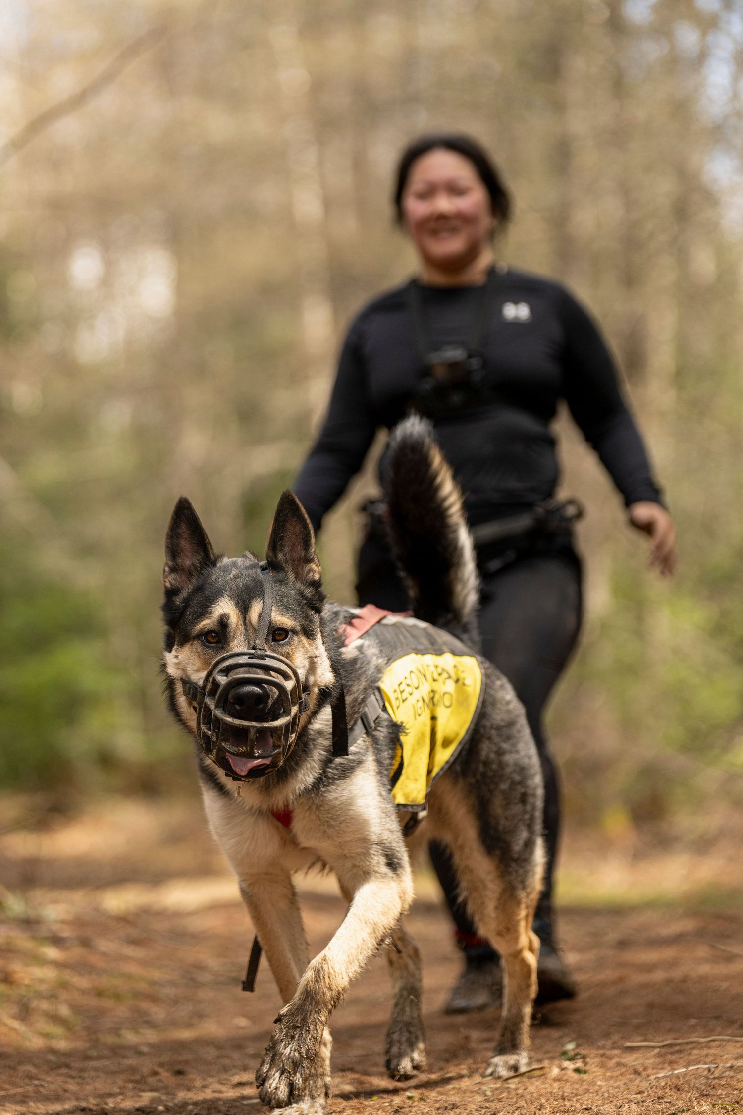 photographe compétition canine