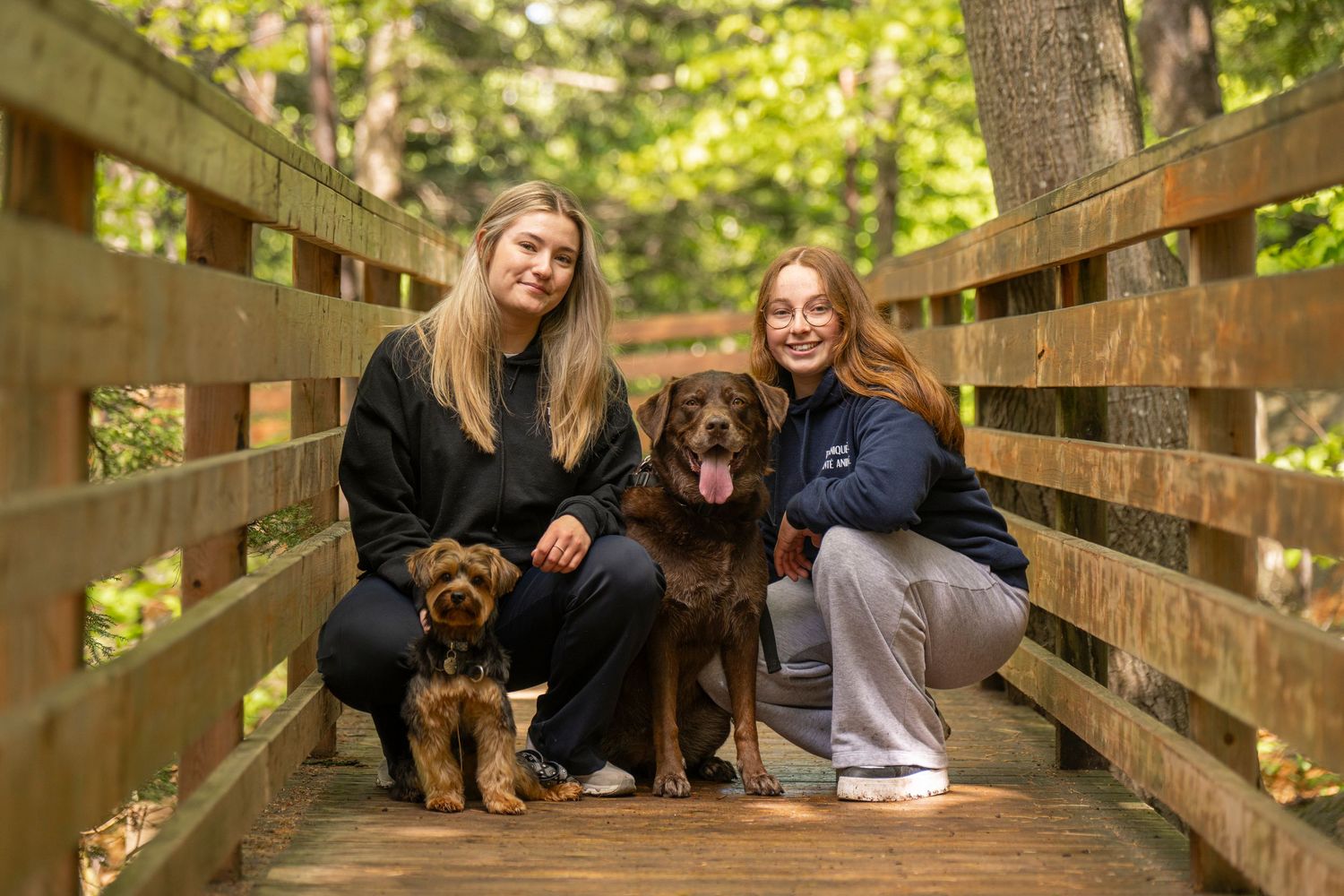 séance photo avec son chien