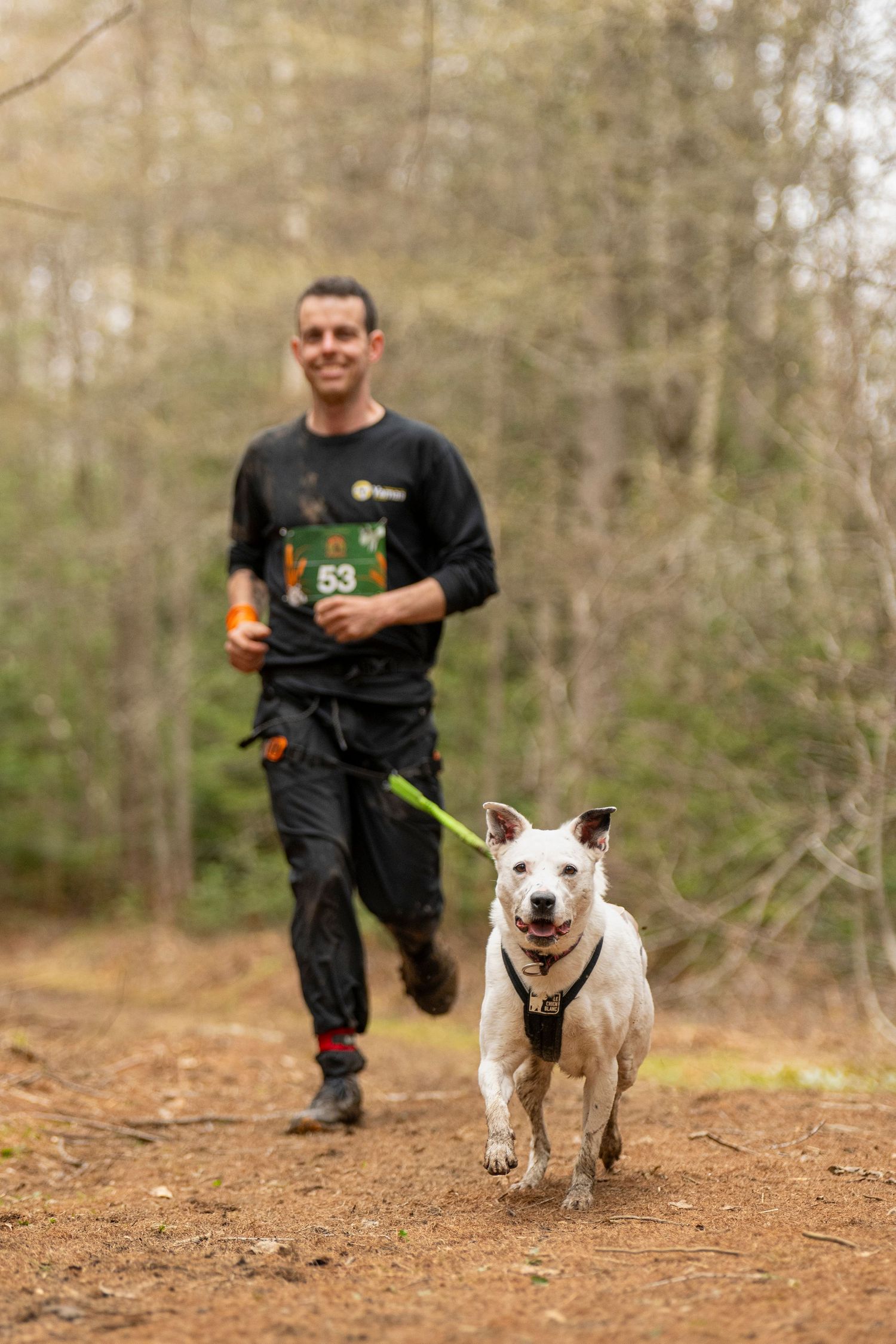 photographe compétition canine