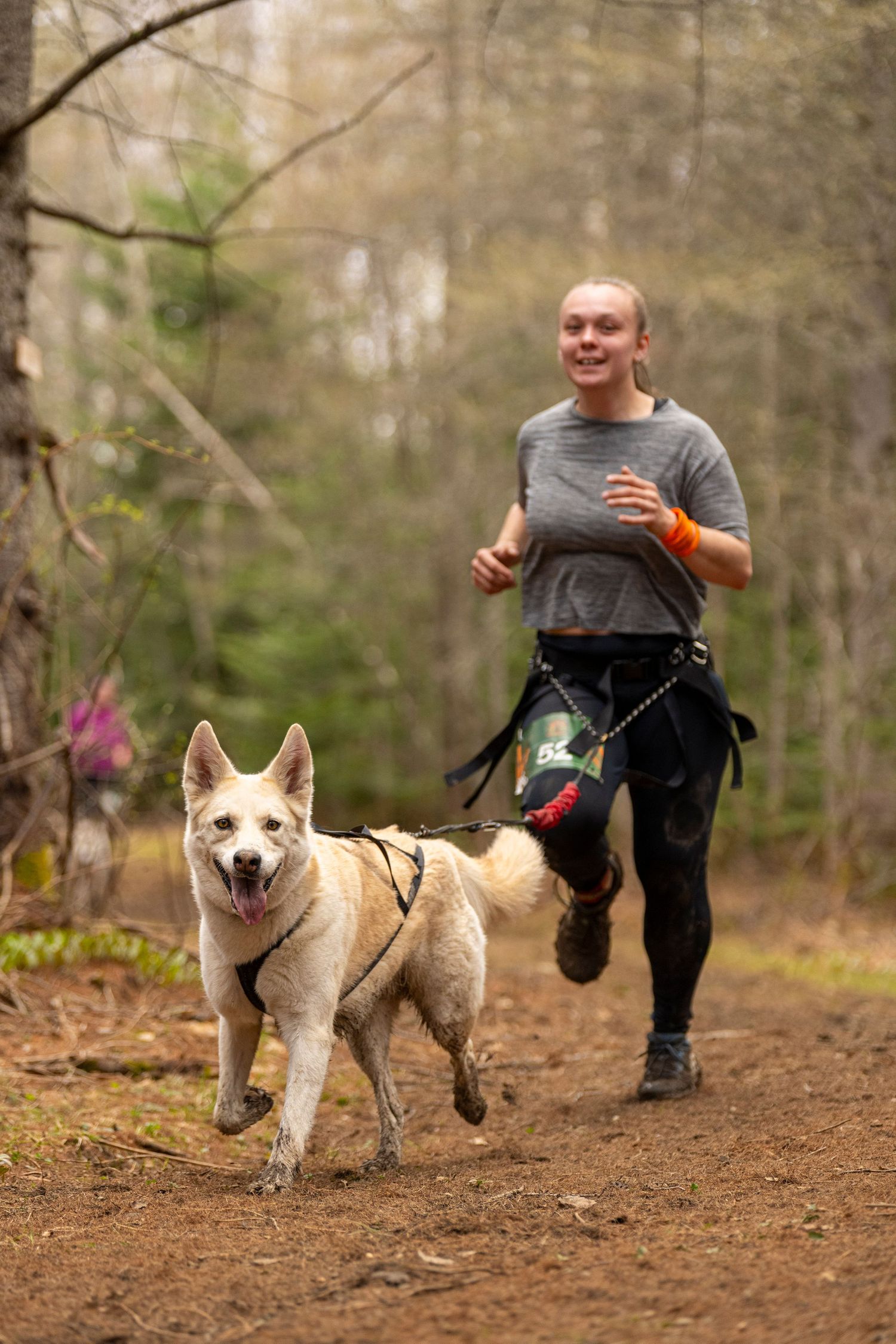 photographe sports canins
