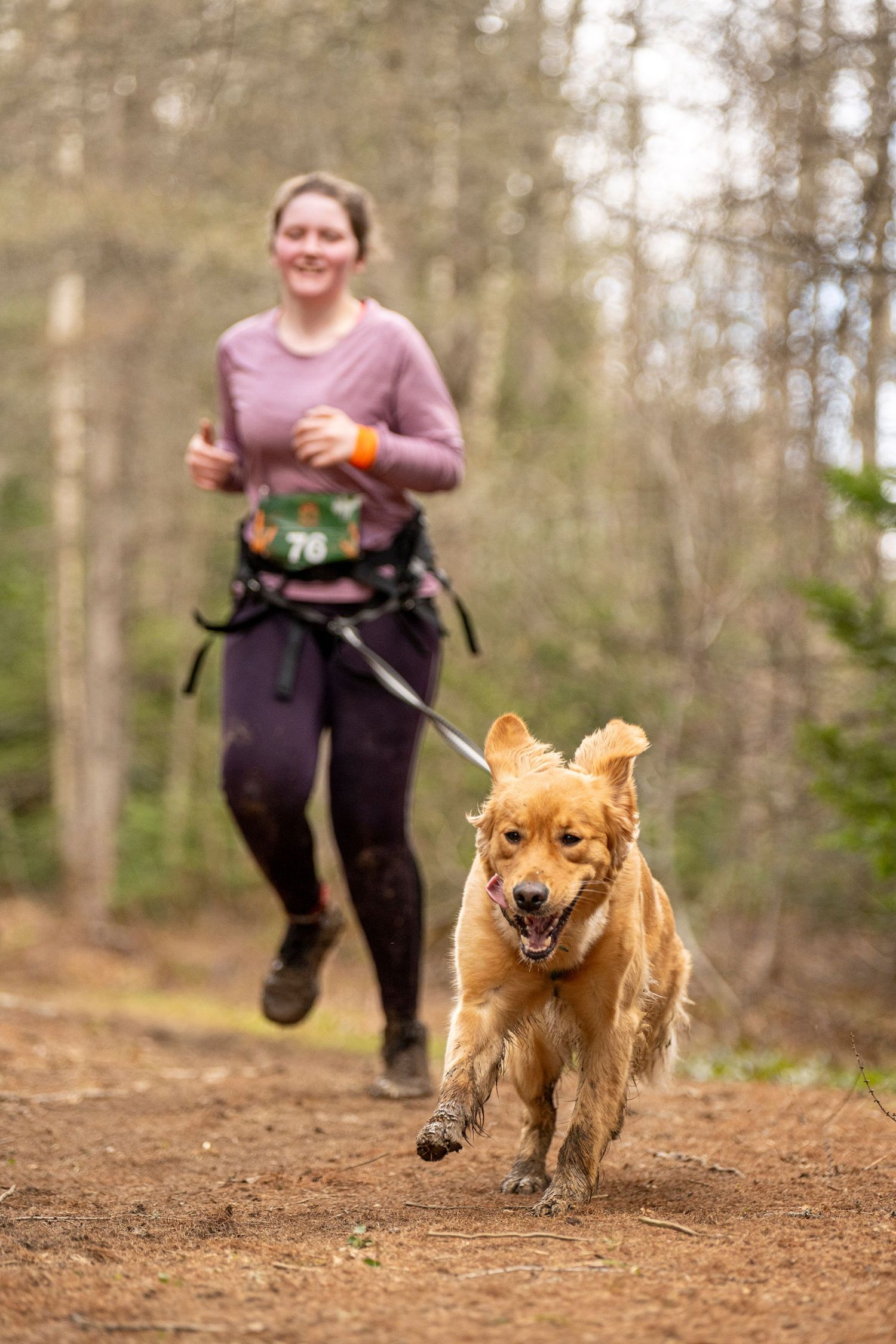 photographe compétition canine