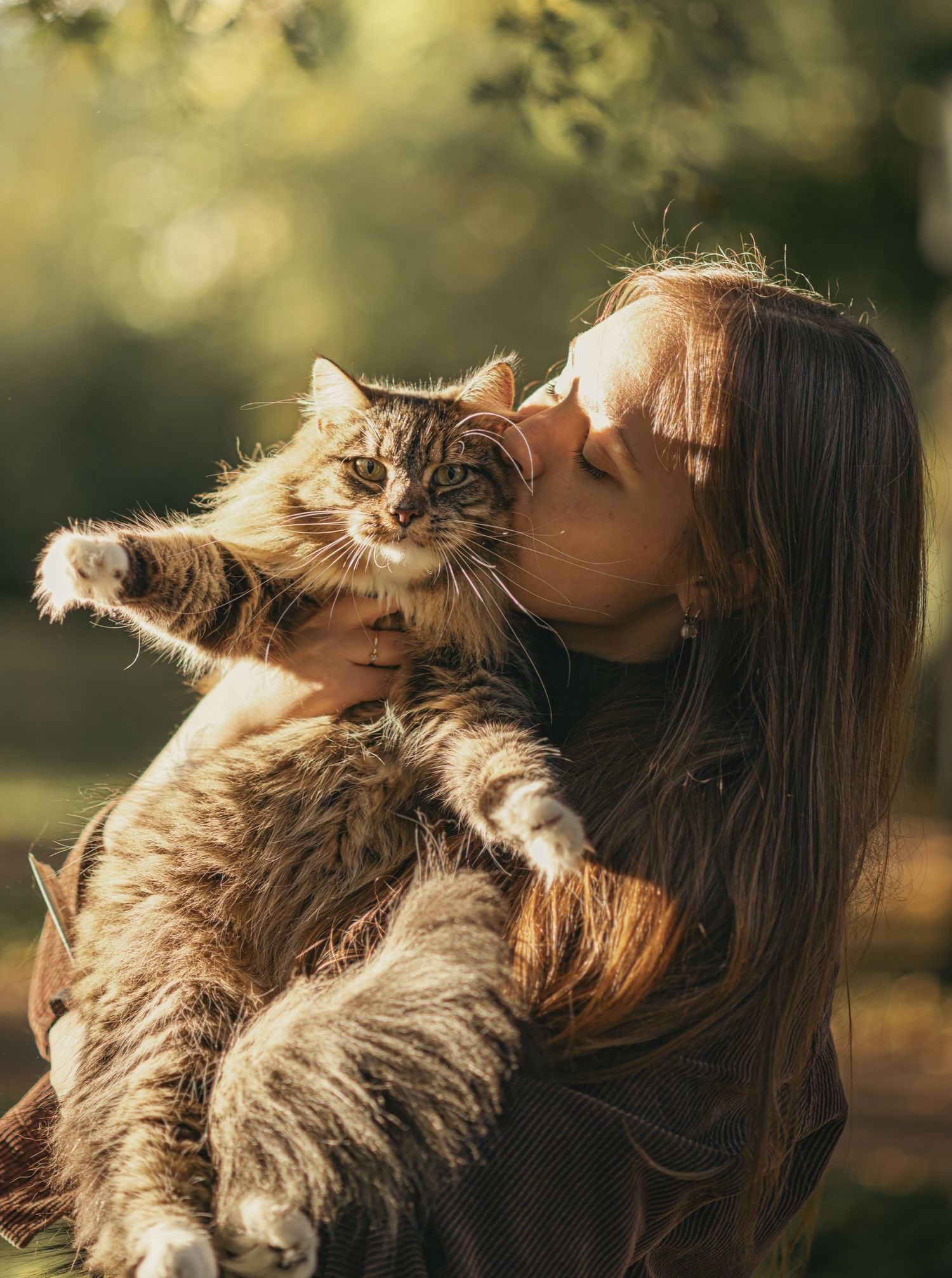photographe animaux de compagnie